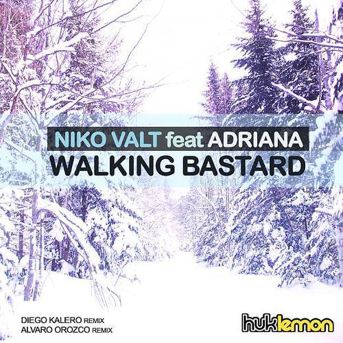 Niko Valt - Walking Bastard (feat. Adriana) (Alvaro Orozco Remix)