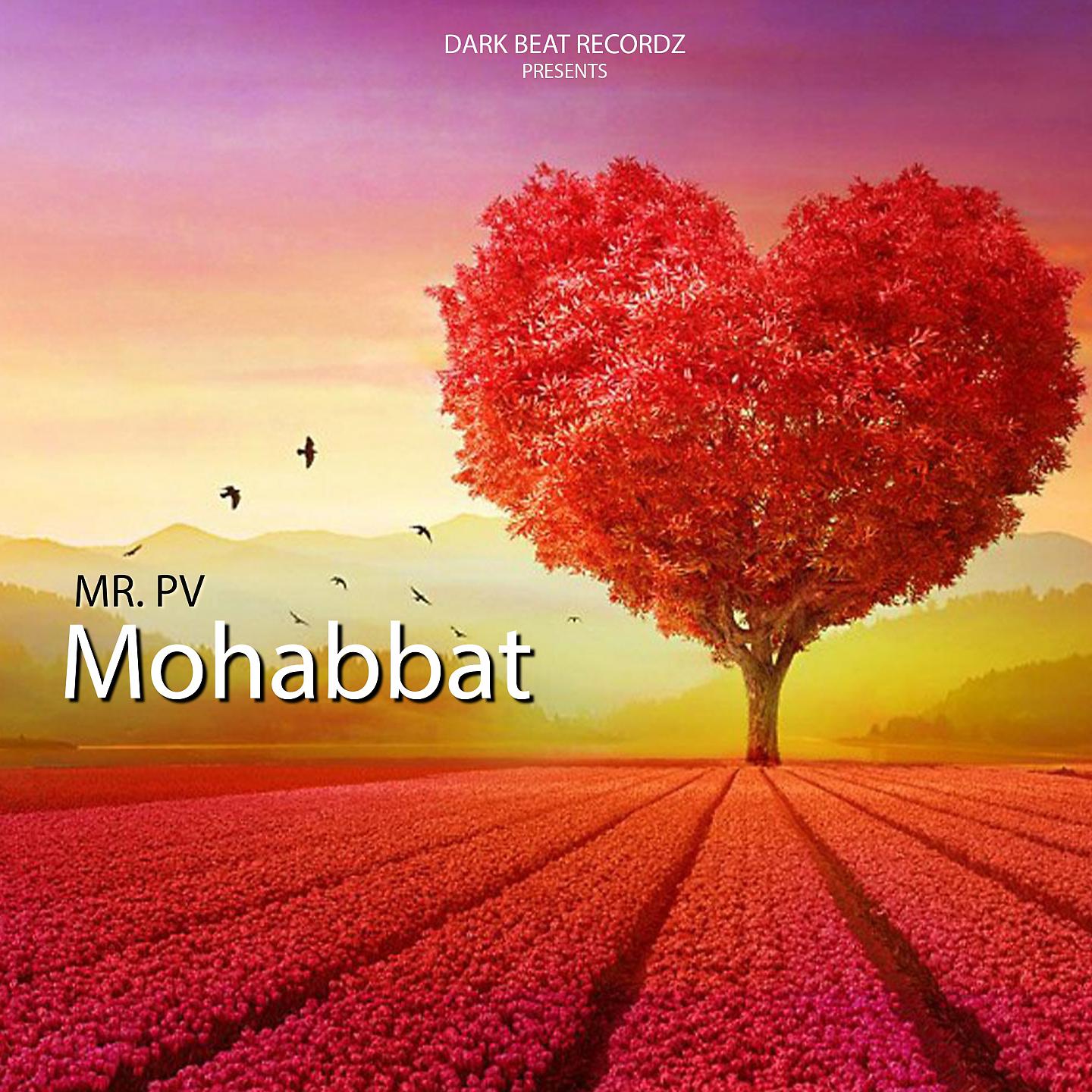 Постер альбома Mohabbat