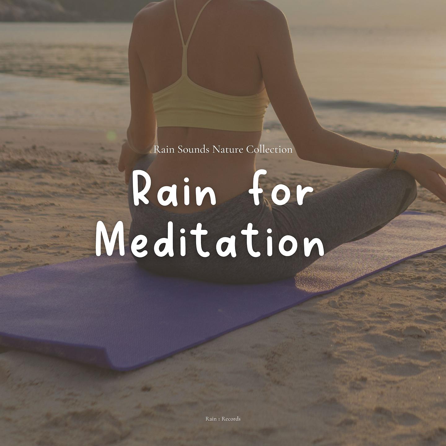 Постер альбома Rain for Meditation