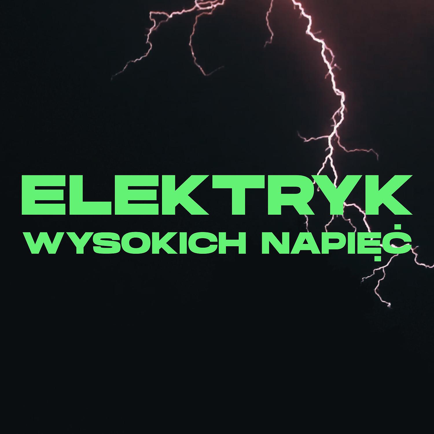 Постер альбома Elektryk wysokich napiec