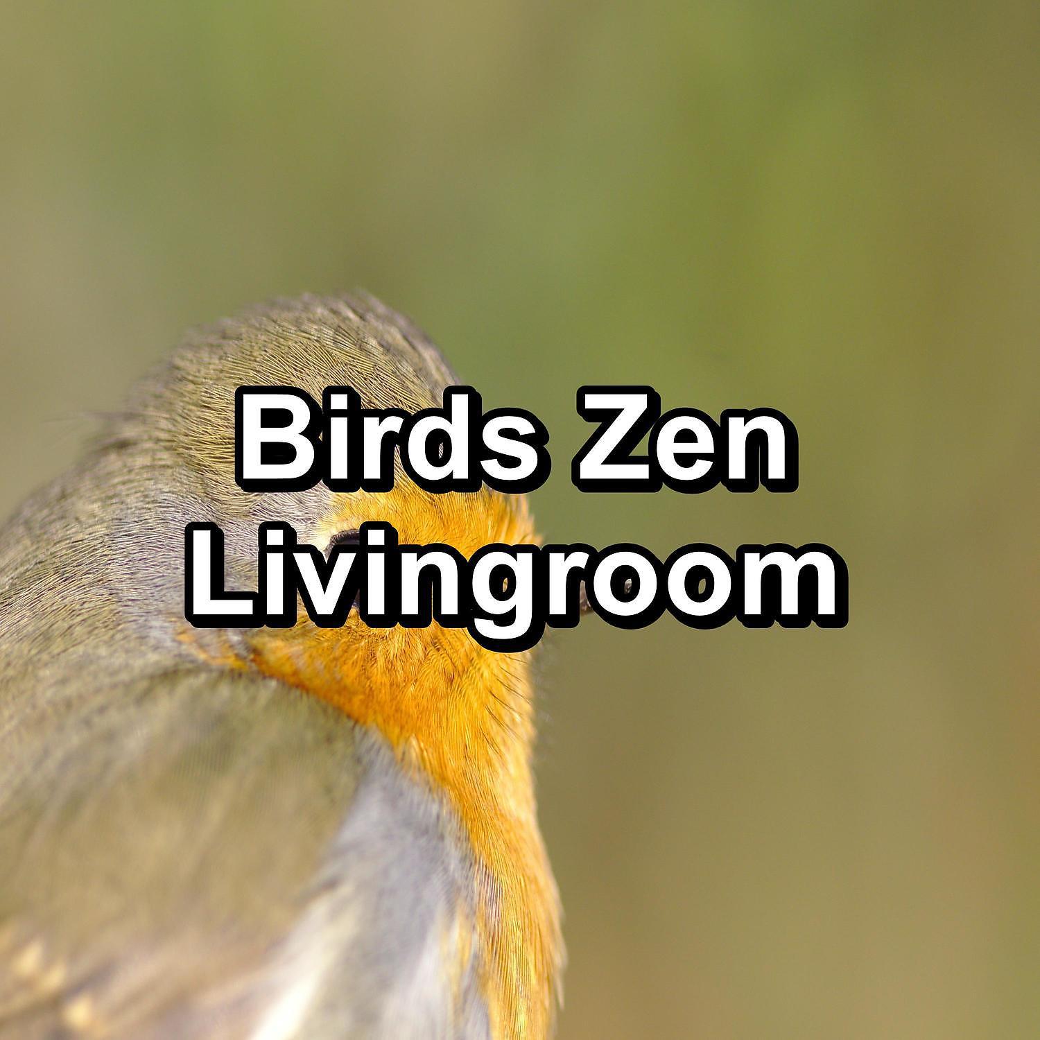 Постер альбома Birds Zen Livingroom