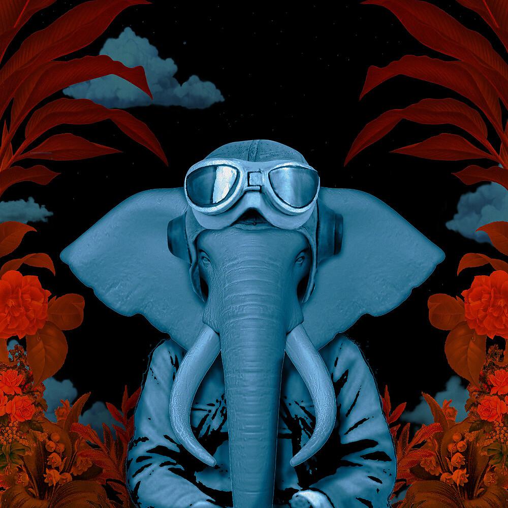 Постер альбома Elefantes Suicidas