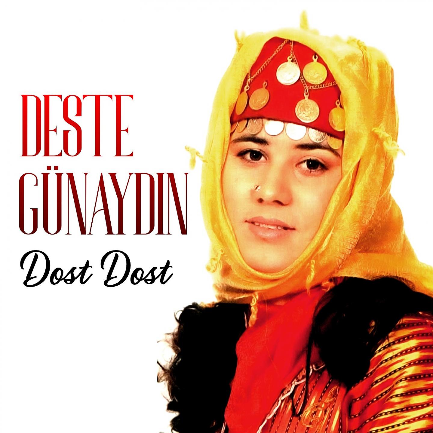 Постер альбома Dost Dost