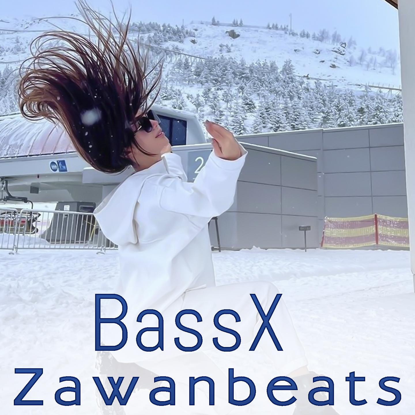 Постер альбома BassX