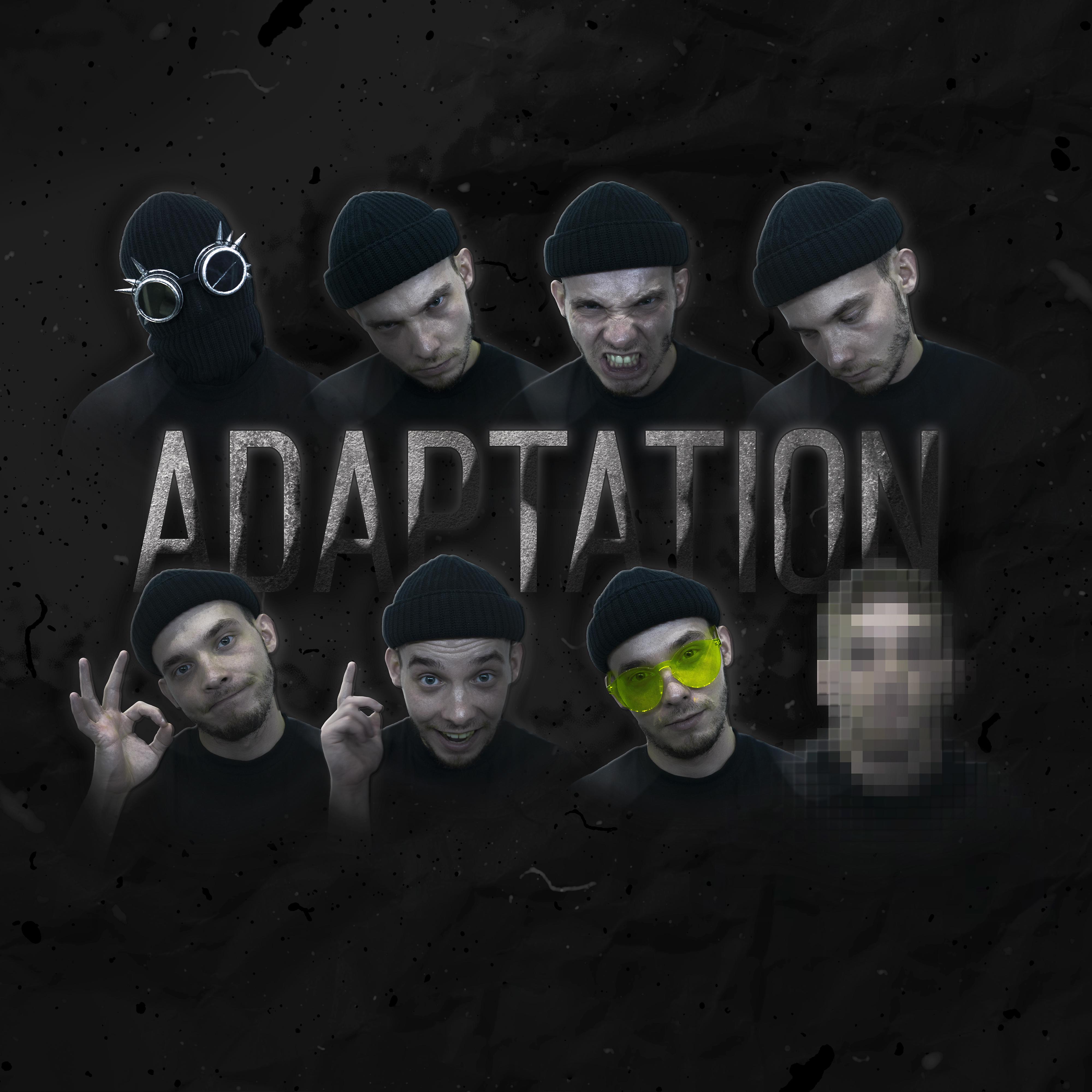 Постер альбома Adaptation
