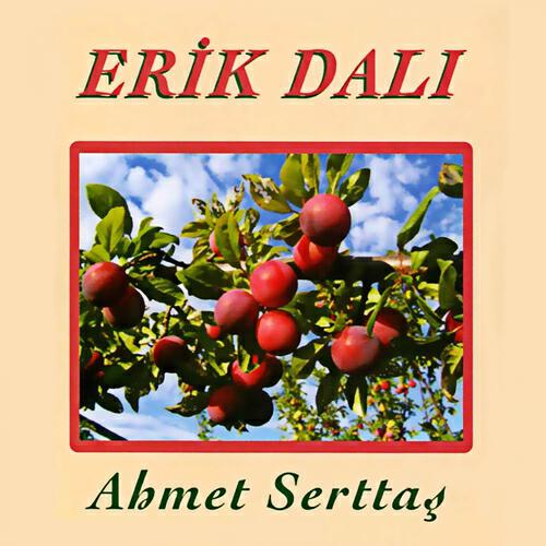 Ahmet Serttaş - Erik Dalı