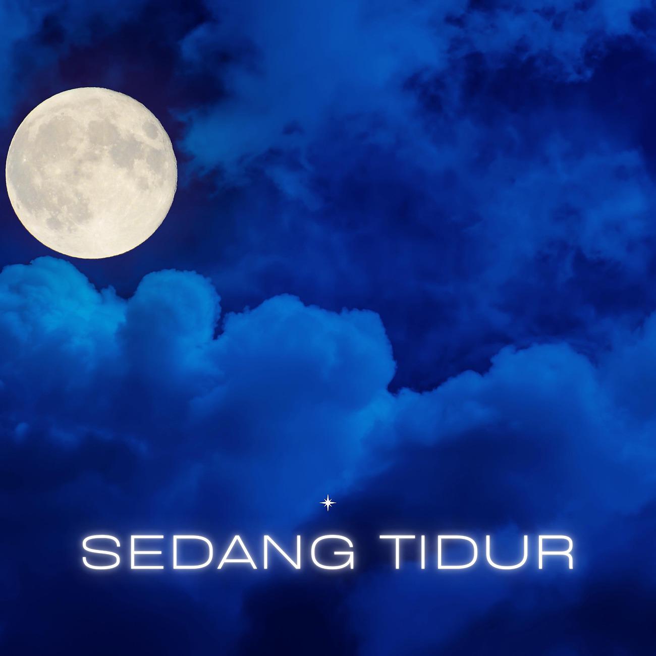 Постер альбома Sedang Tidur