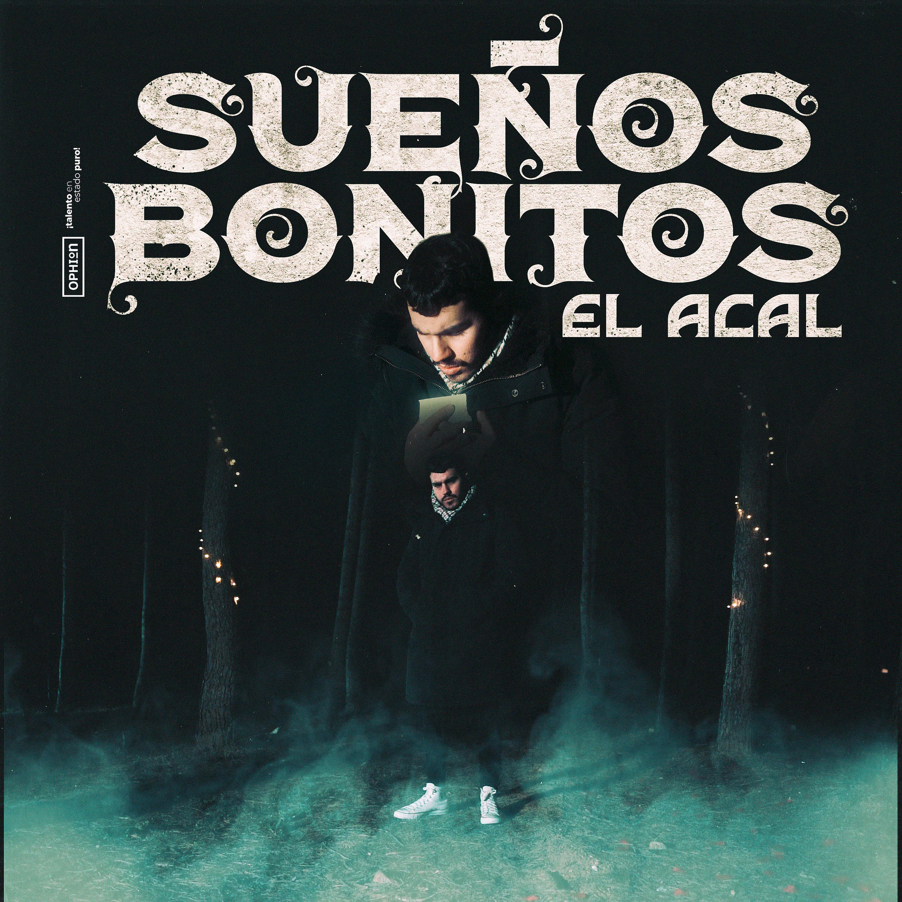 Постер альбома Sueños Bonitos