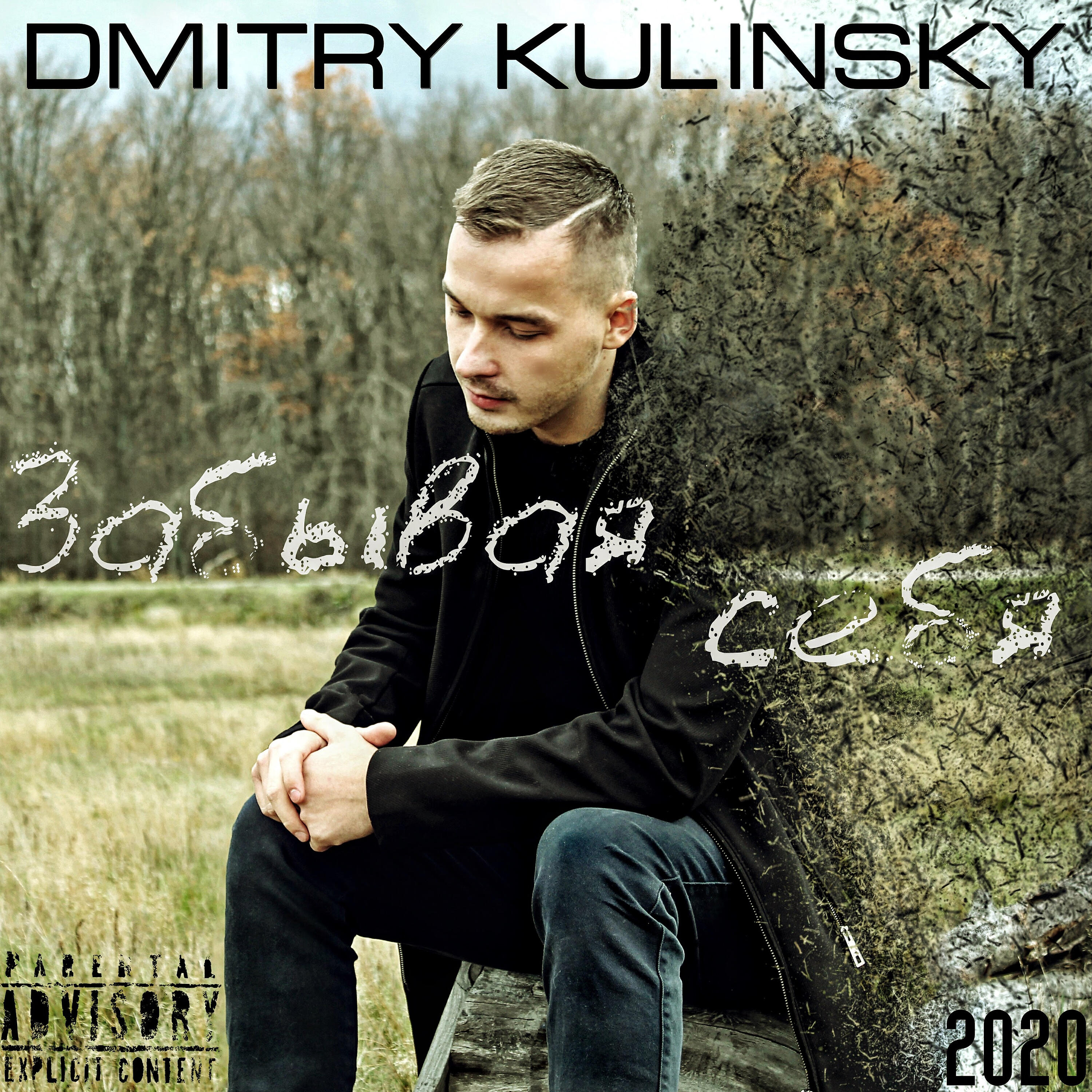 DMITRY KULINSKY - Не твой герой