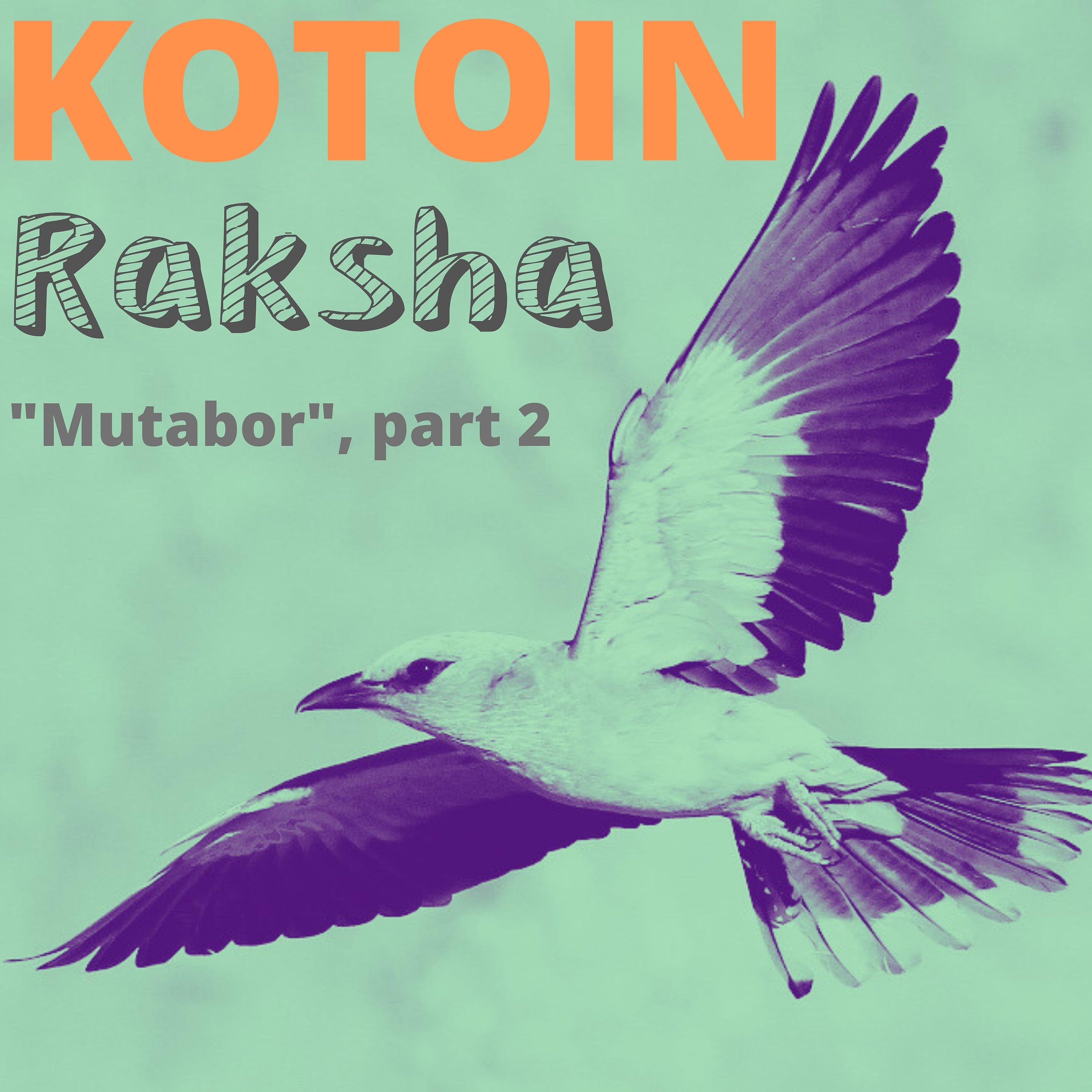 Постер альбома Raksha