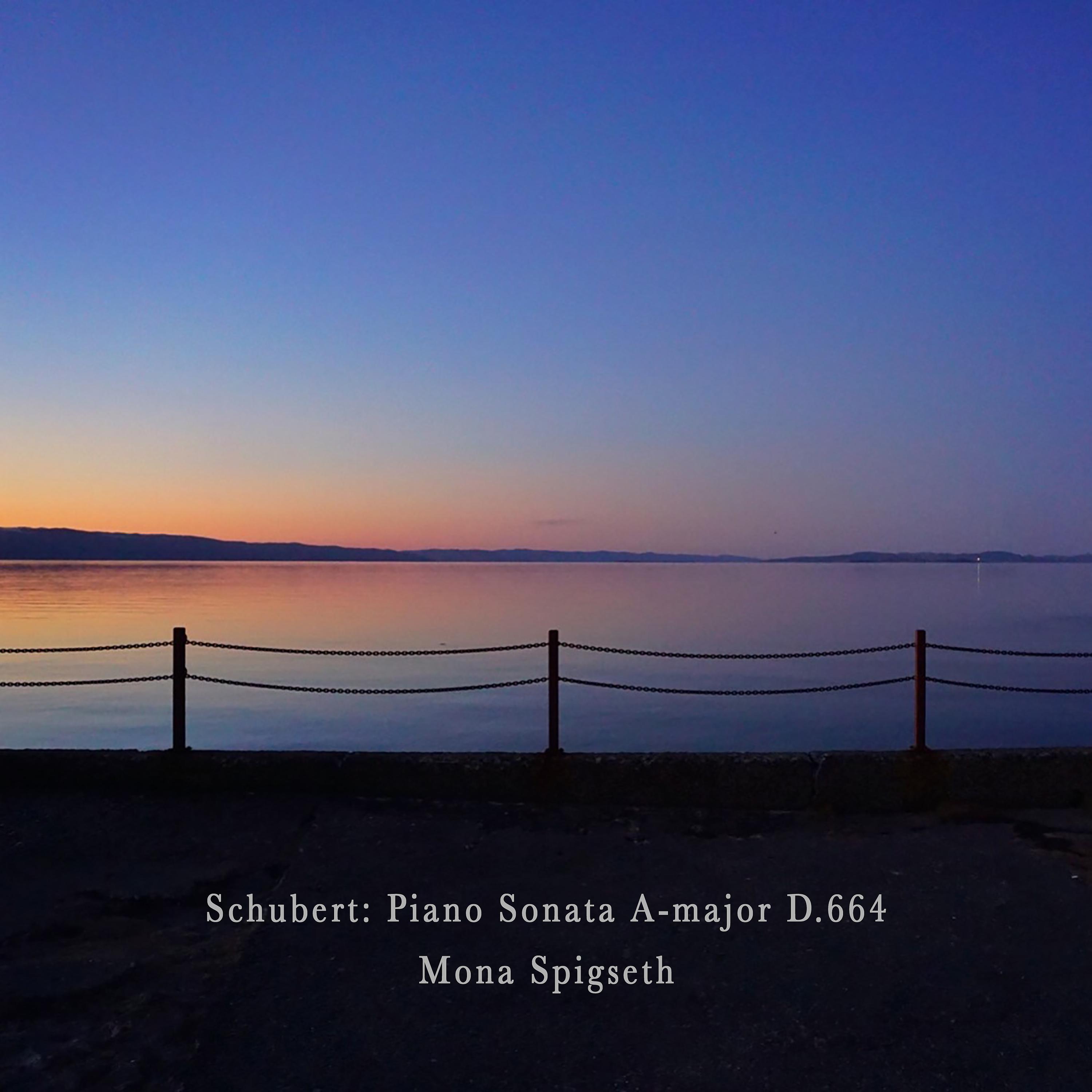 Постер альбома Schubert: Piano Sonata in A Major, D.664