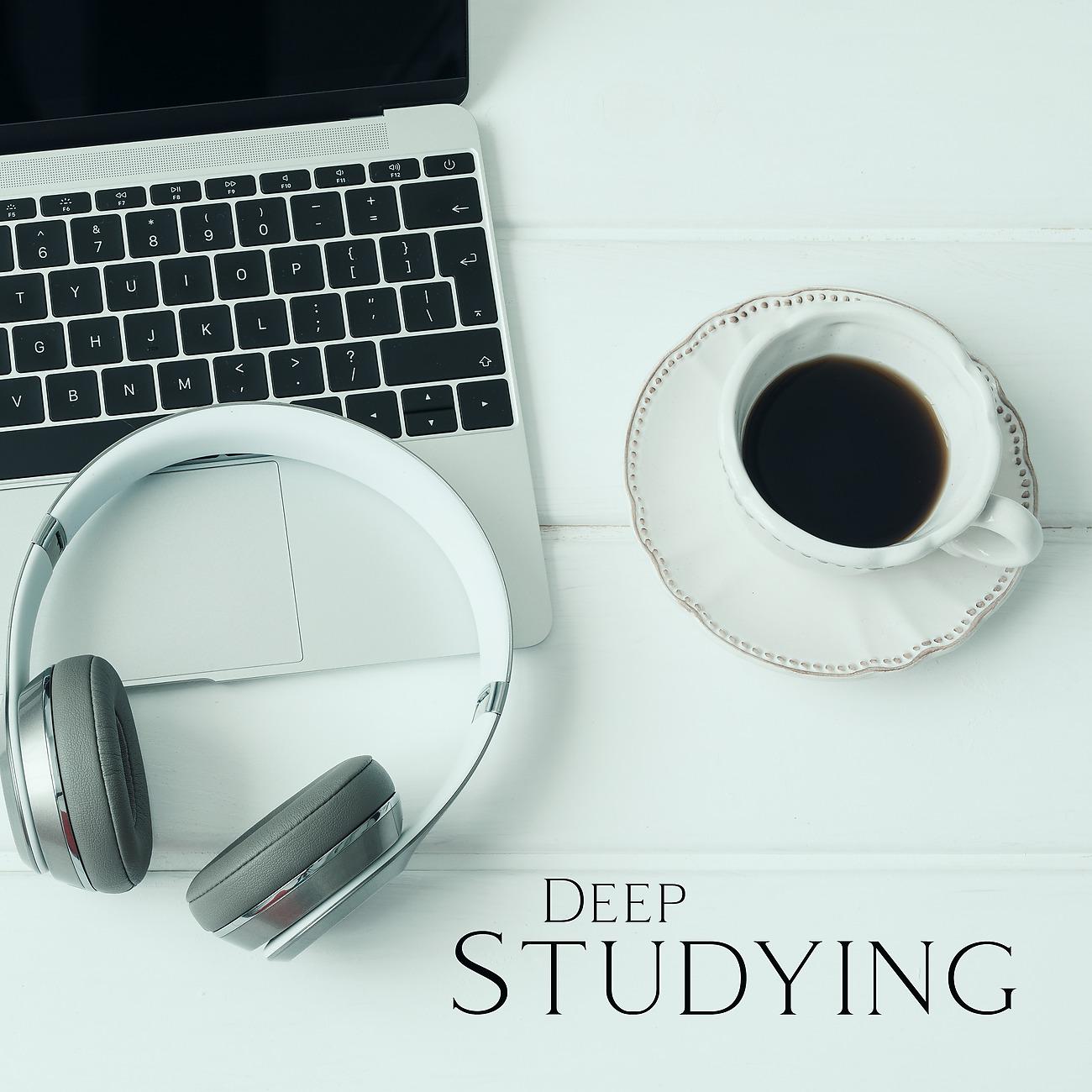 Постер альбома Deep Studying