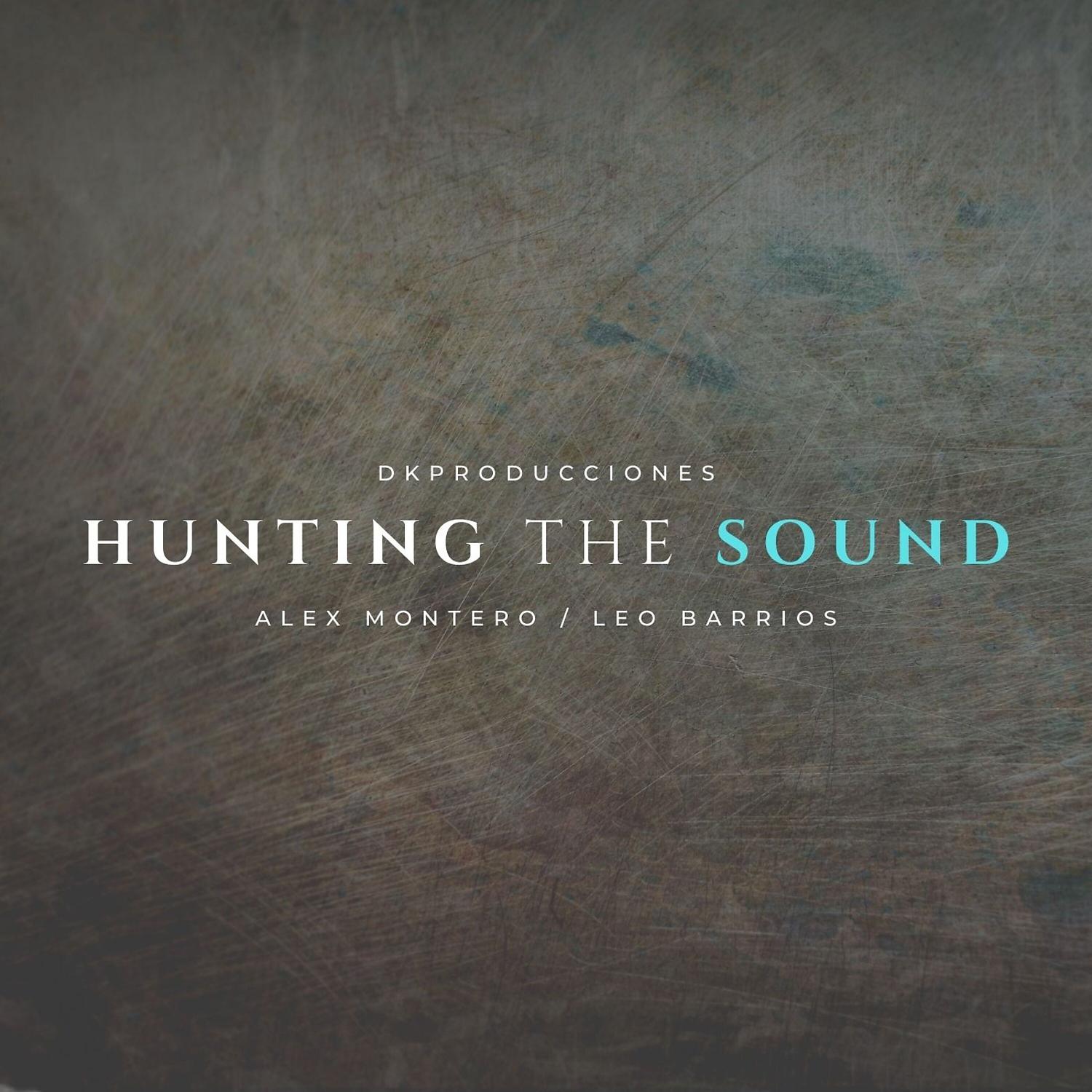 Постер альбома Hunting The Sound (feat. Alex Montero)