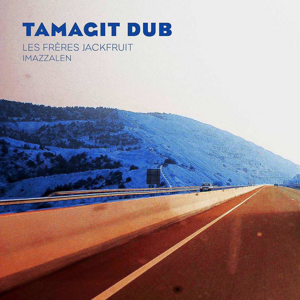 Постер альбома Tamagit Dub