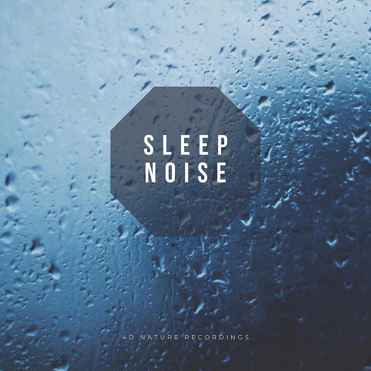 Постер альбома Sleep Noise