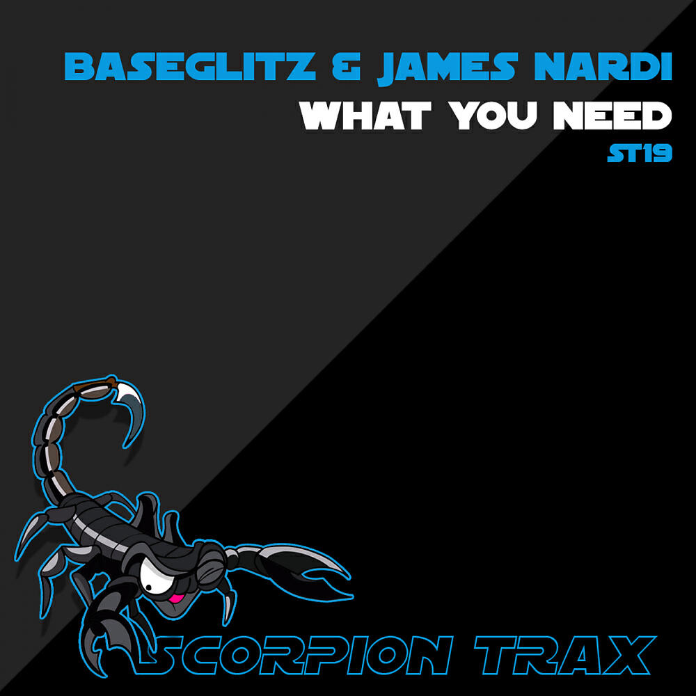 BaseGlitz - What You Need