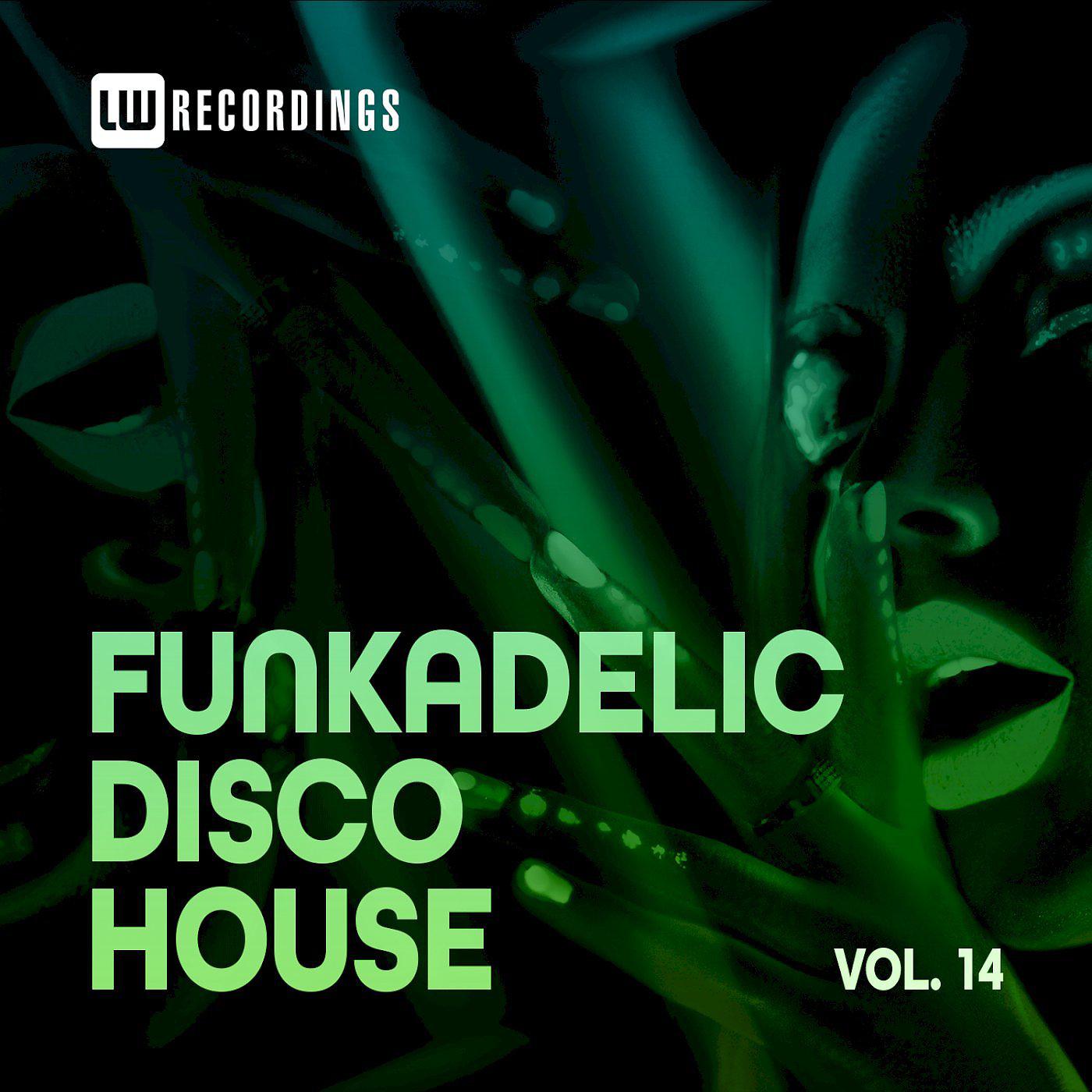 Постер альбома Funkadelic Disco House, 14