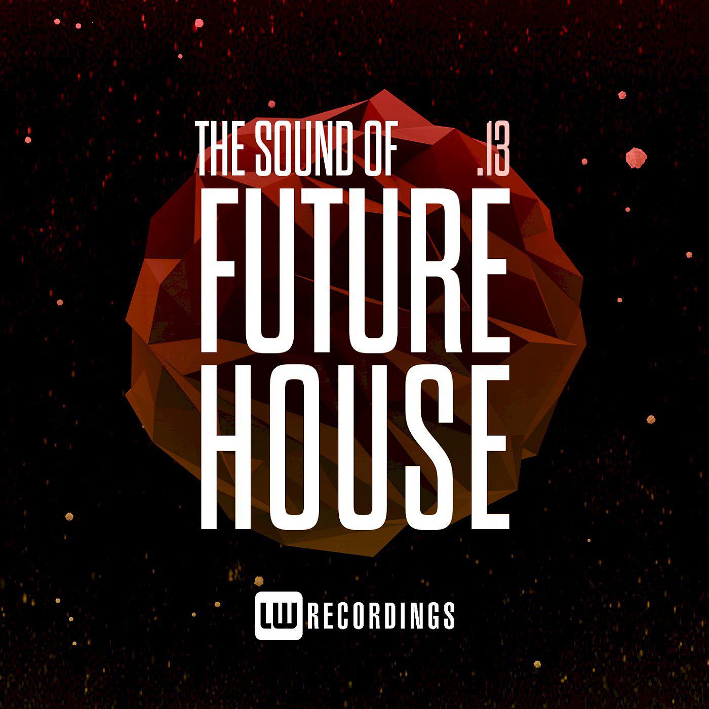 Постер альбома The Sound Of Future House, Vol. 13