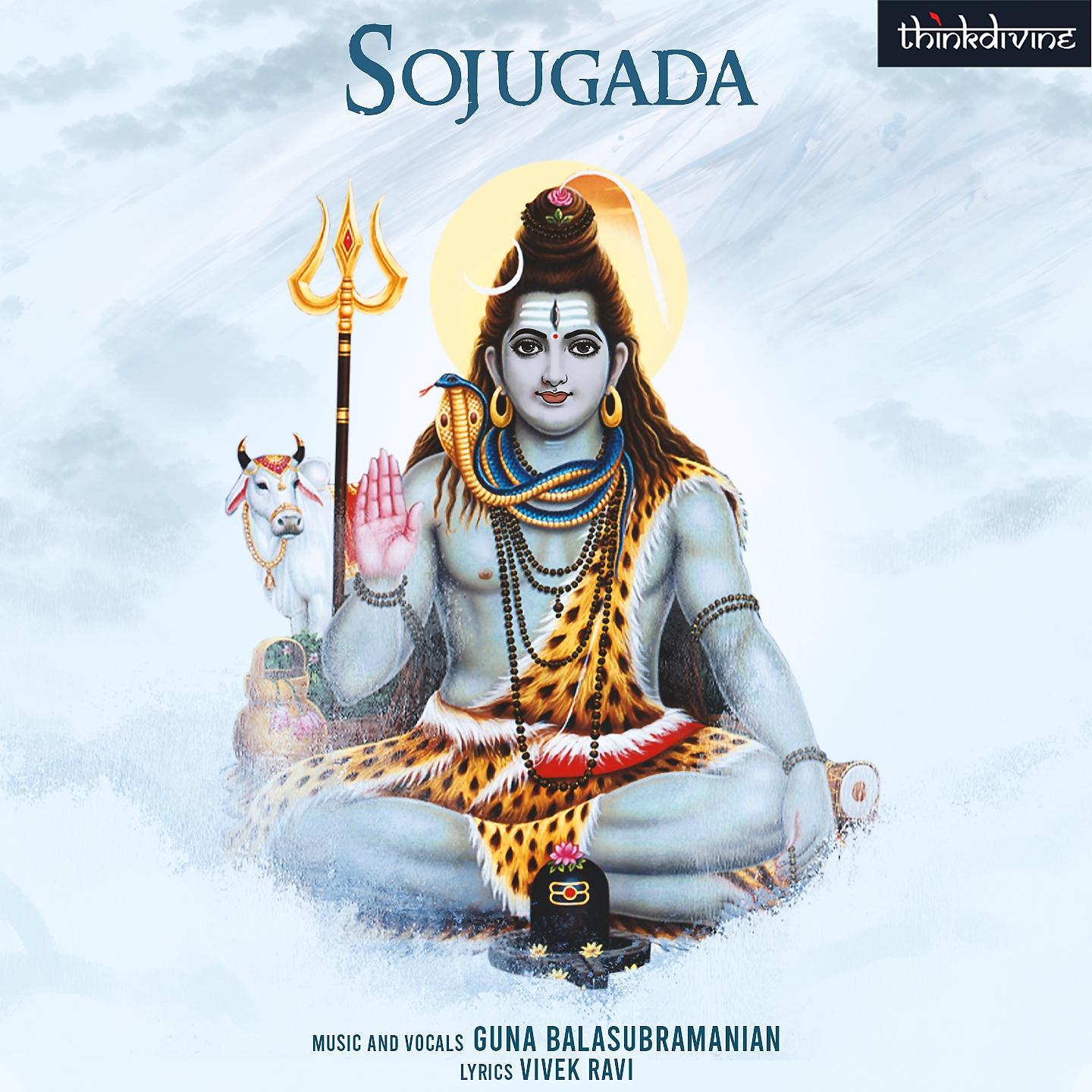 Постер альбома Sojugada