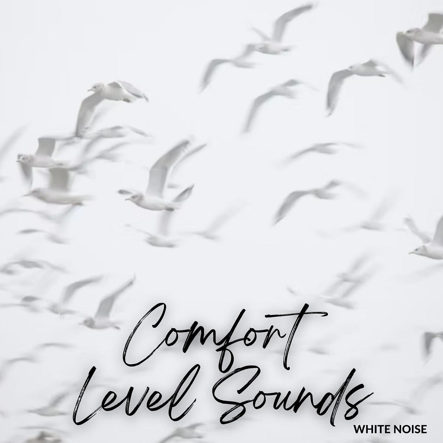 Постер альбома White Noise: Comfort Level Sounds