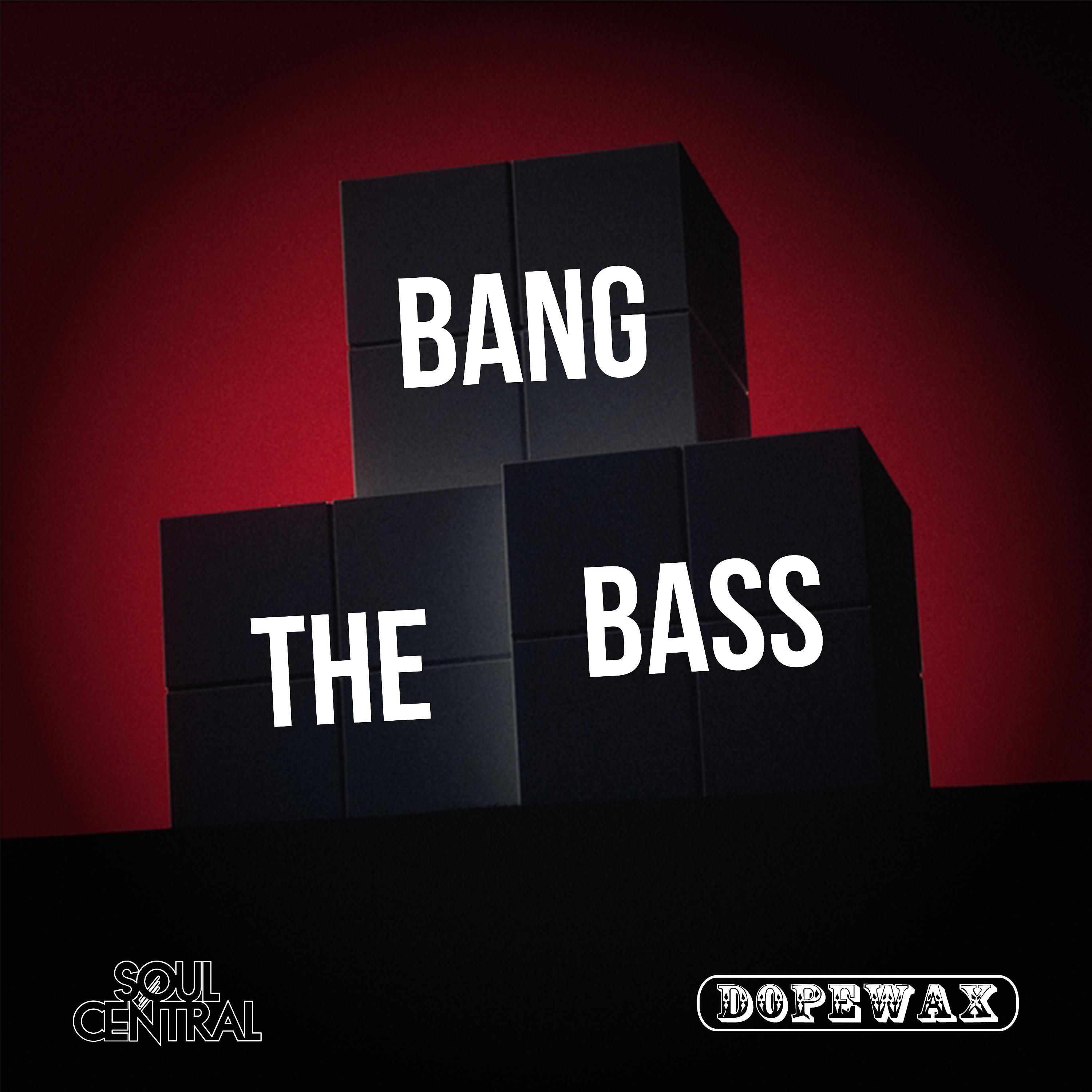 Постер альбома Bang the Bass