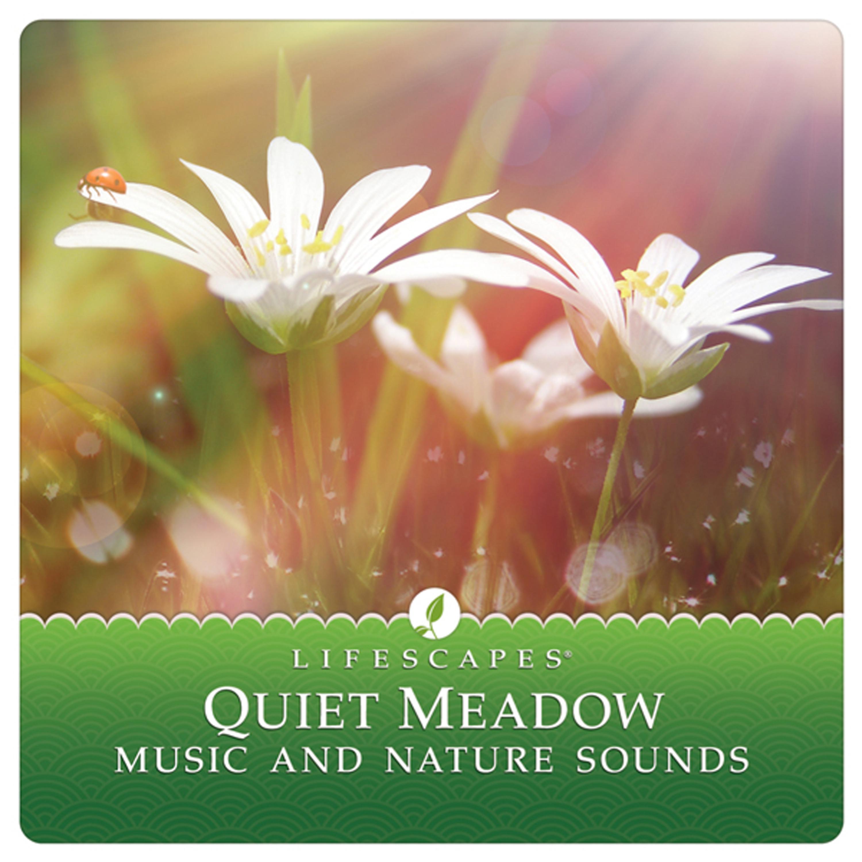 Постер альбома Quiet Meadow