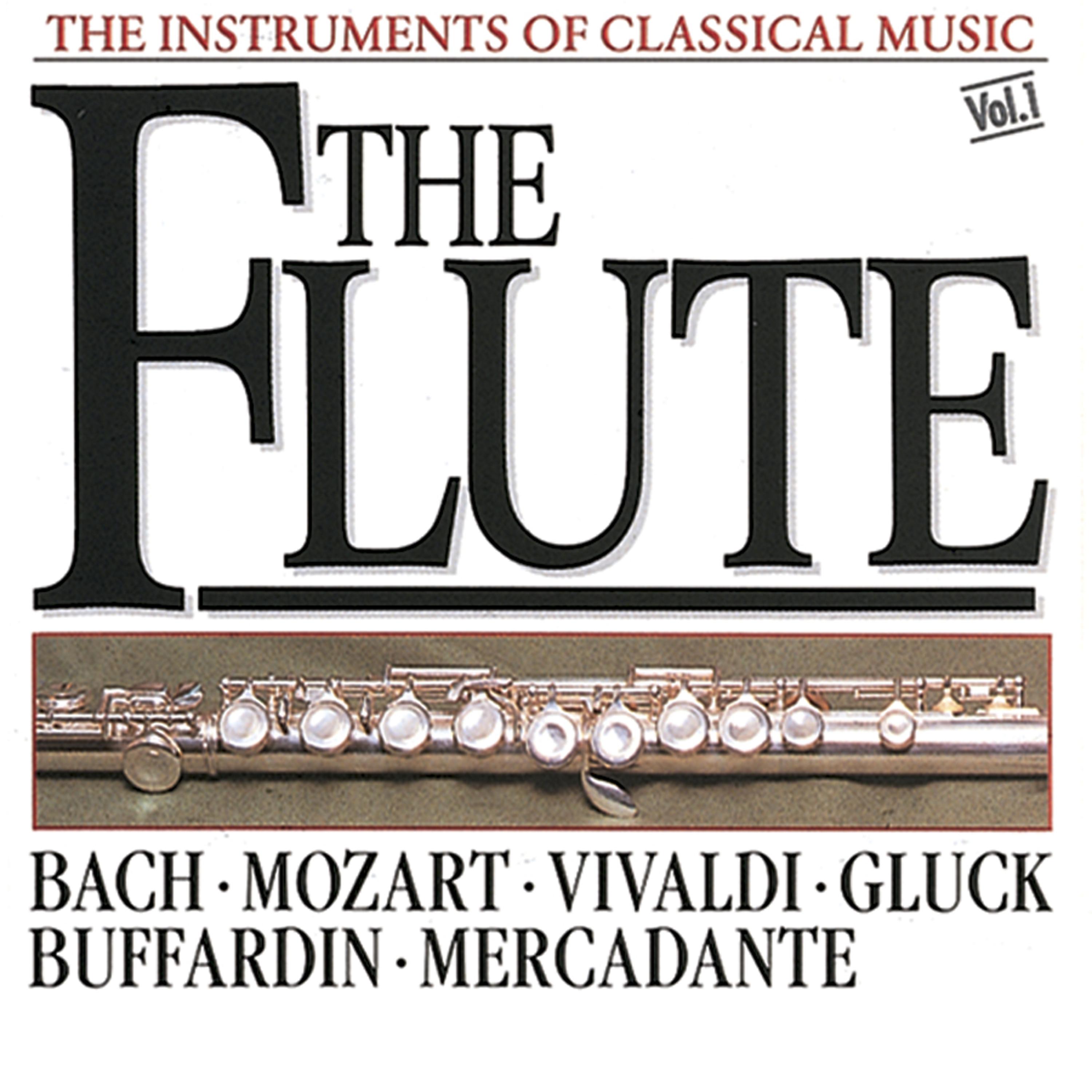 Постер альбома The Instrument of Classical Music - The Flute