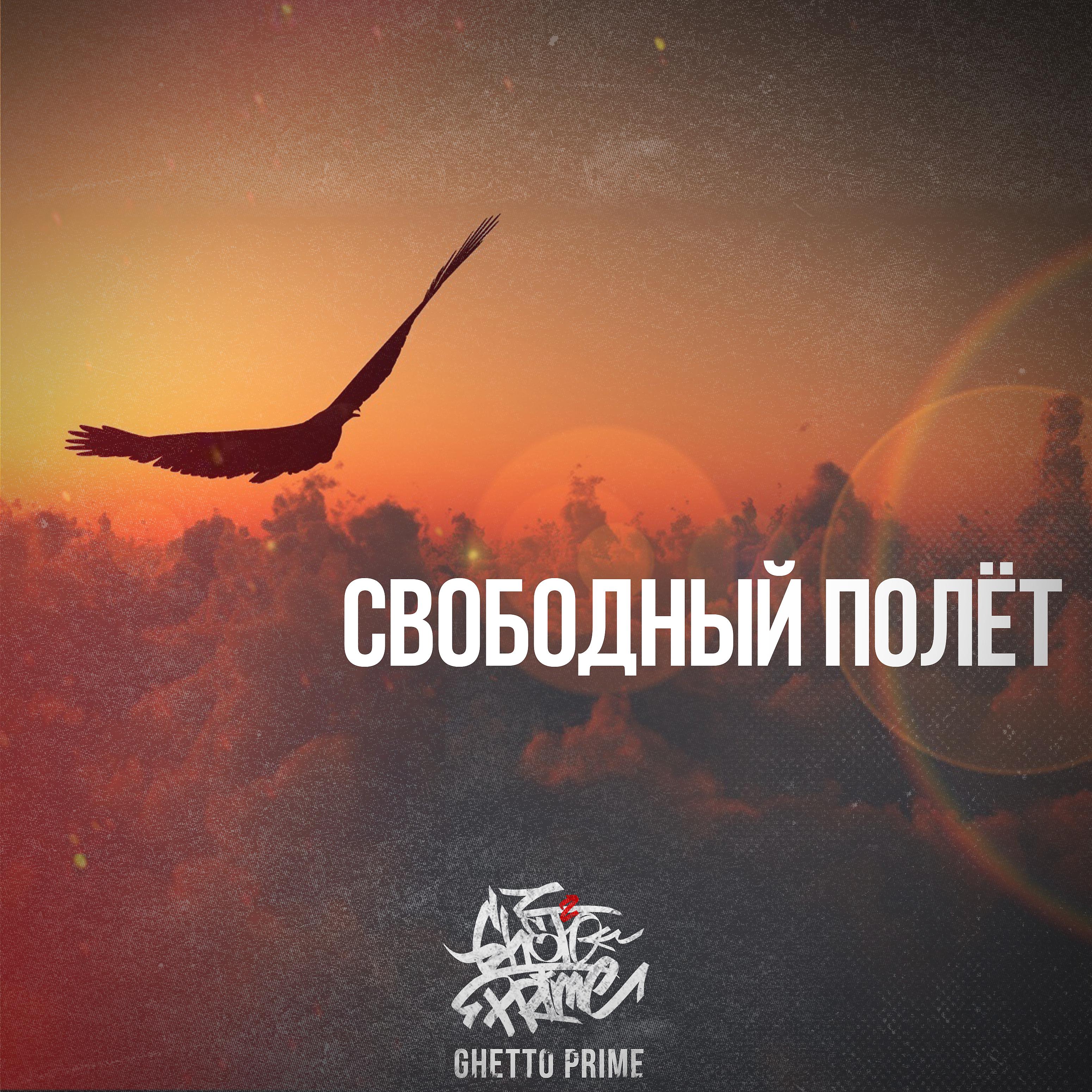 Постер альбома Свободный полёт