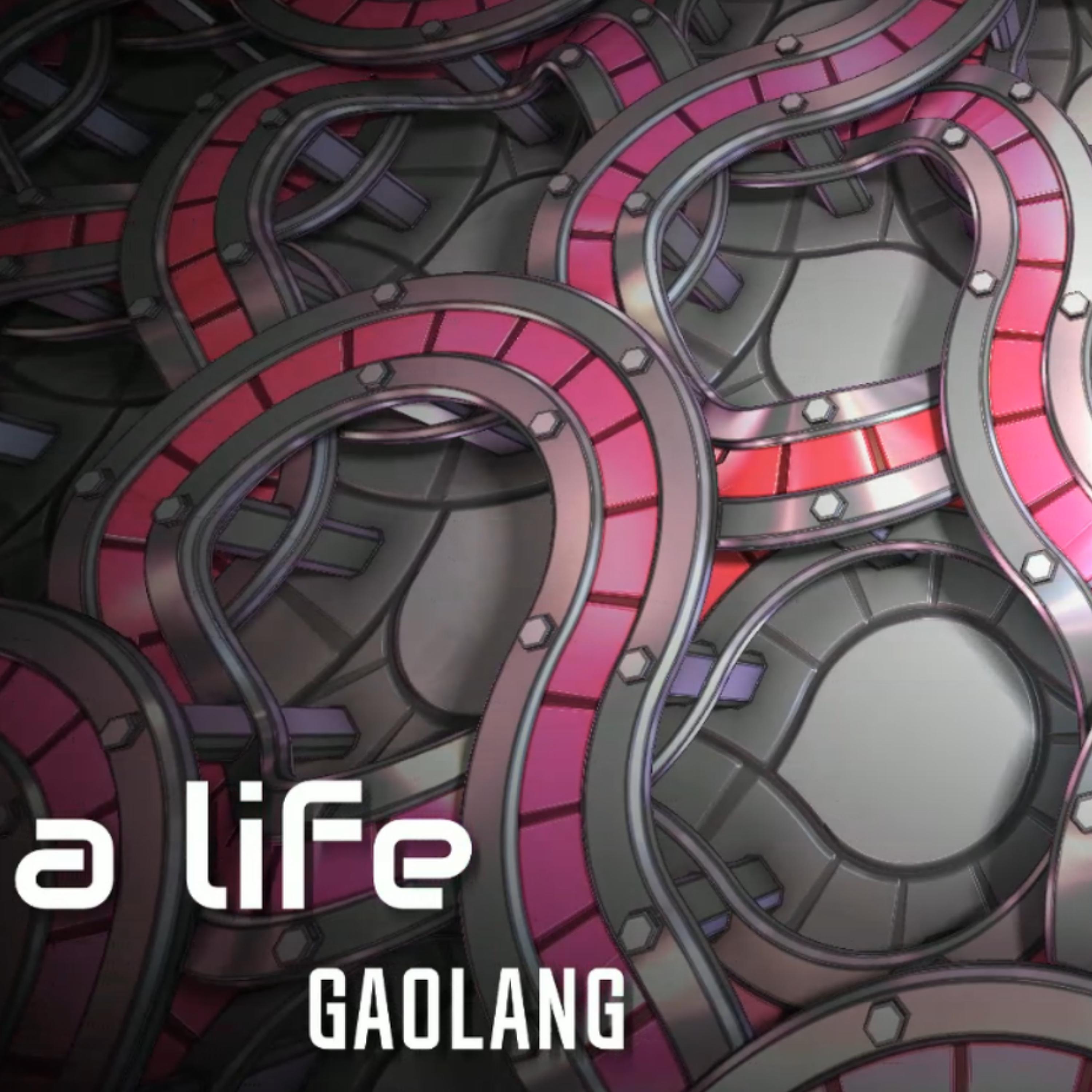 Постер альбома Gaolang a Life