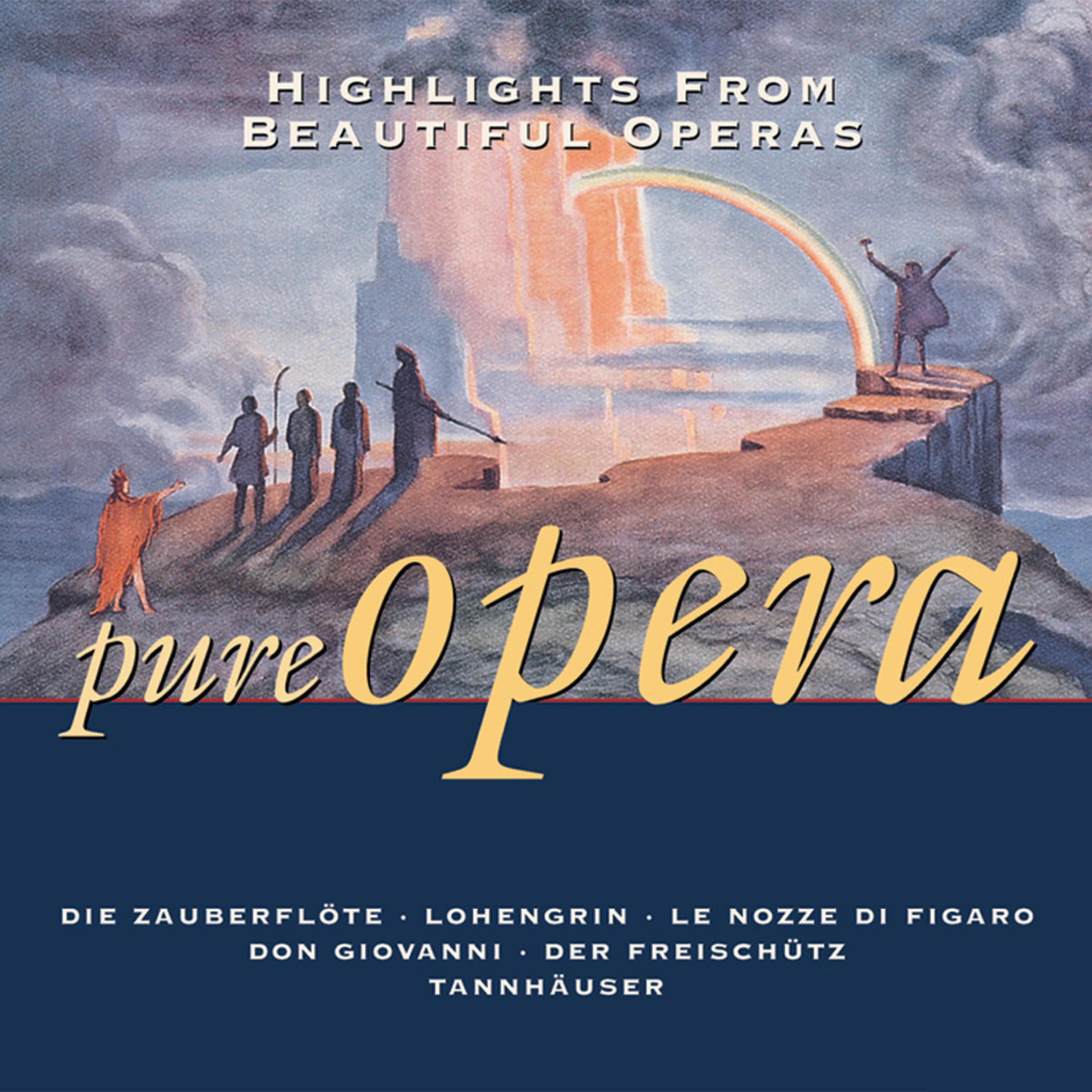 Постер альбома Pure Opera Vol. 2