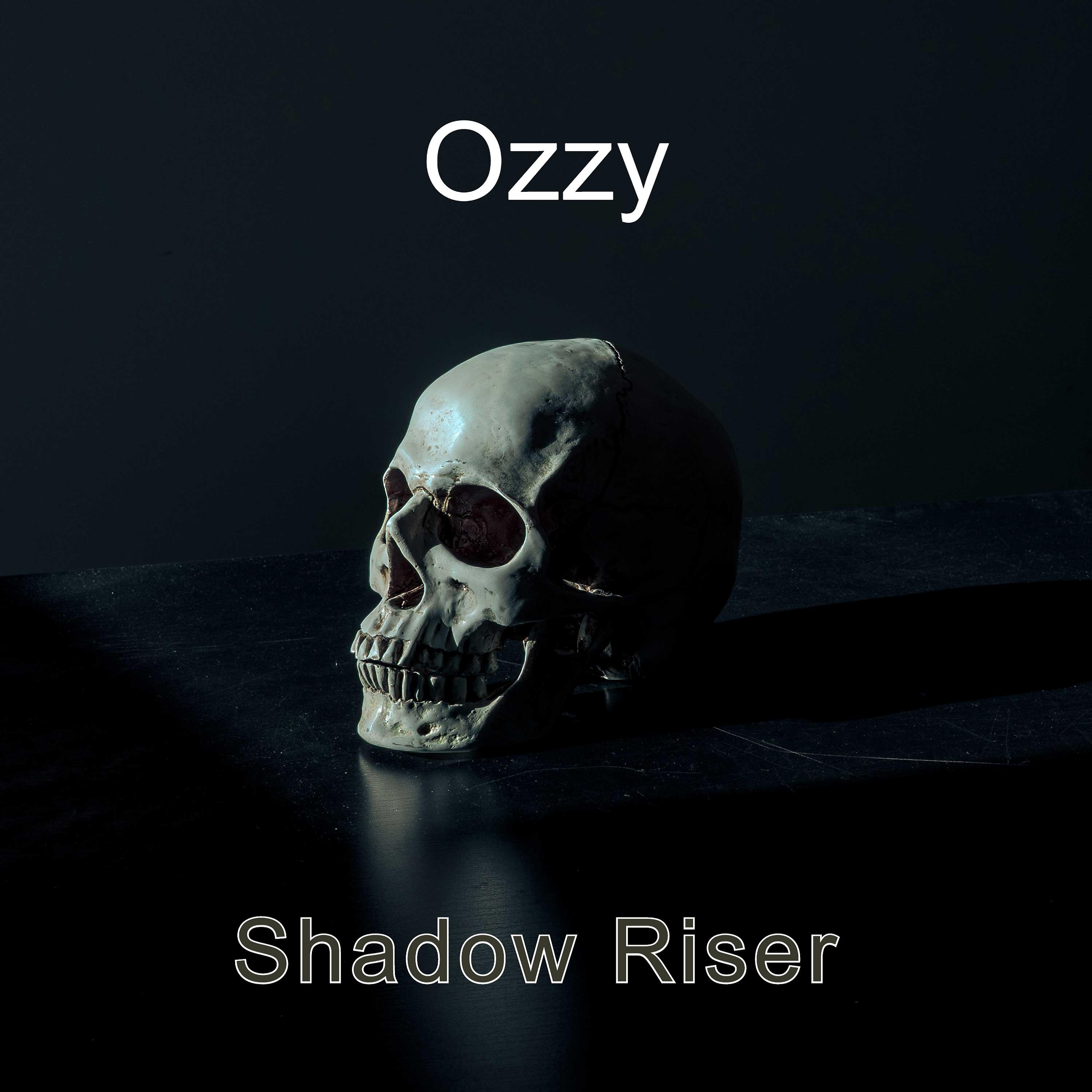 Постер альбома Shadow Riser