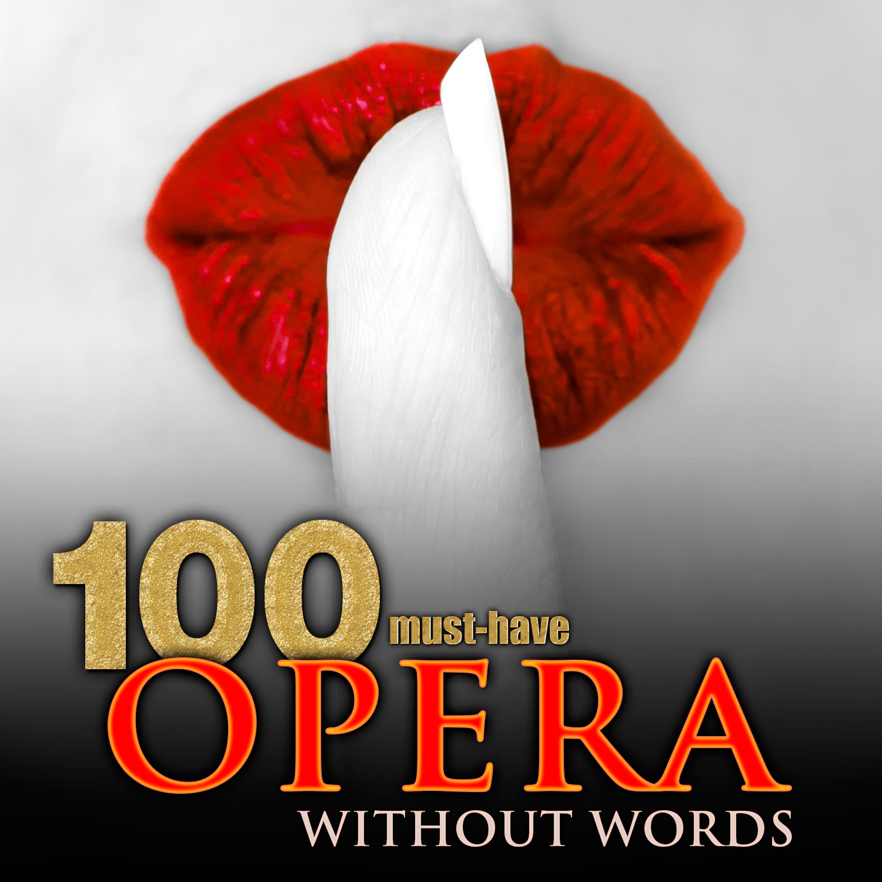 Постер альбома 100 Must-Have Opera Without Words