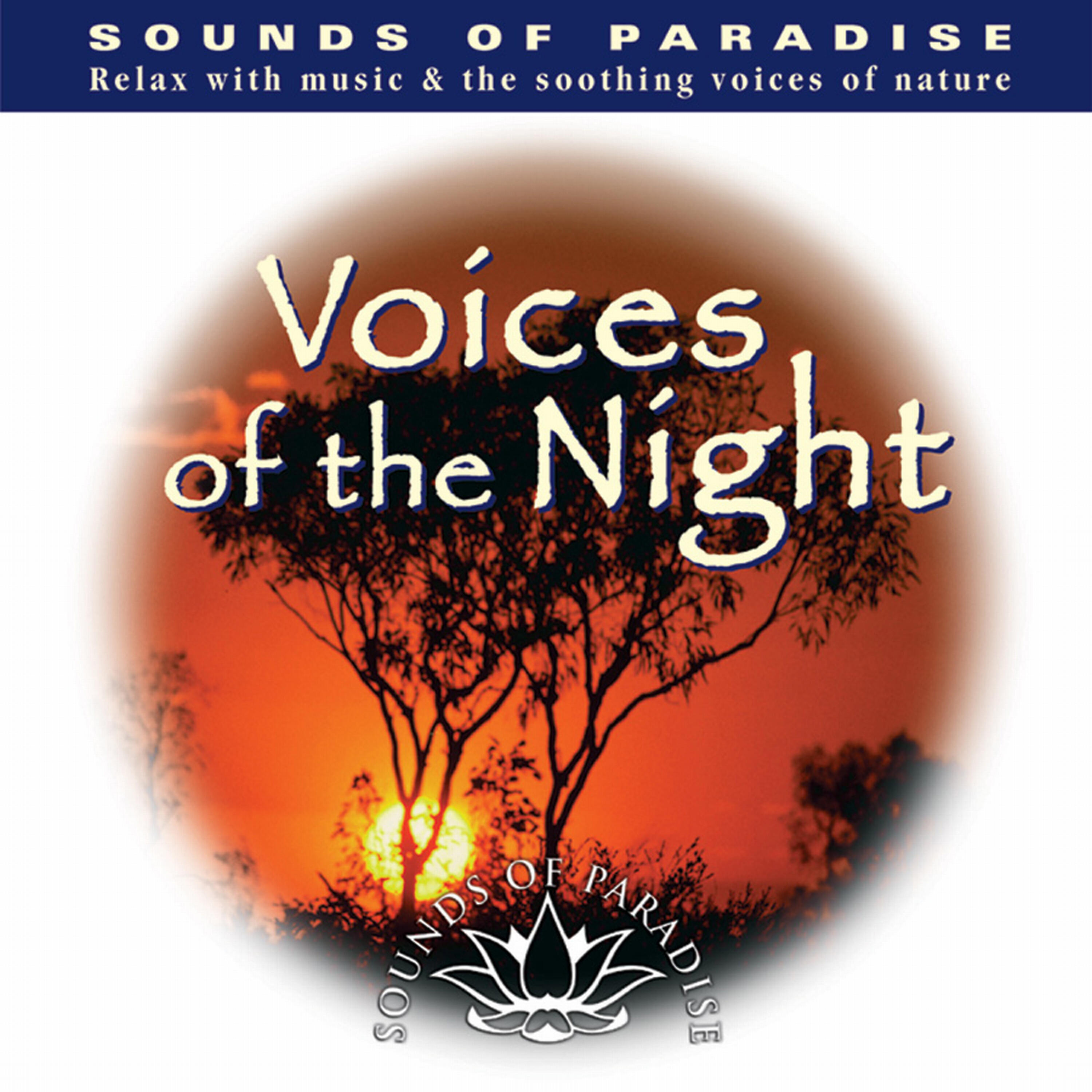 David Kline - Midnight Storm