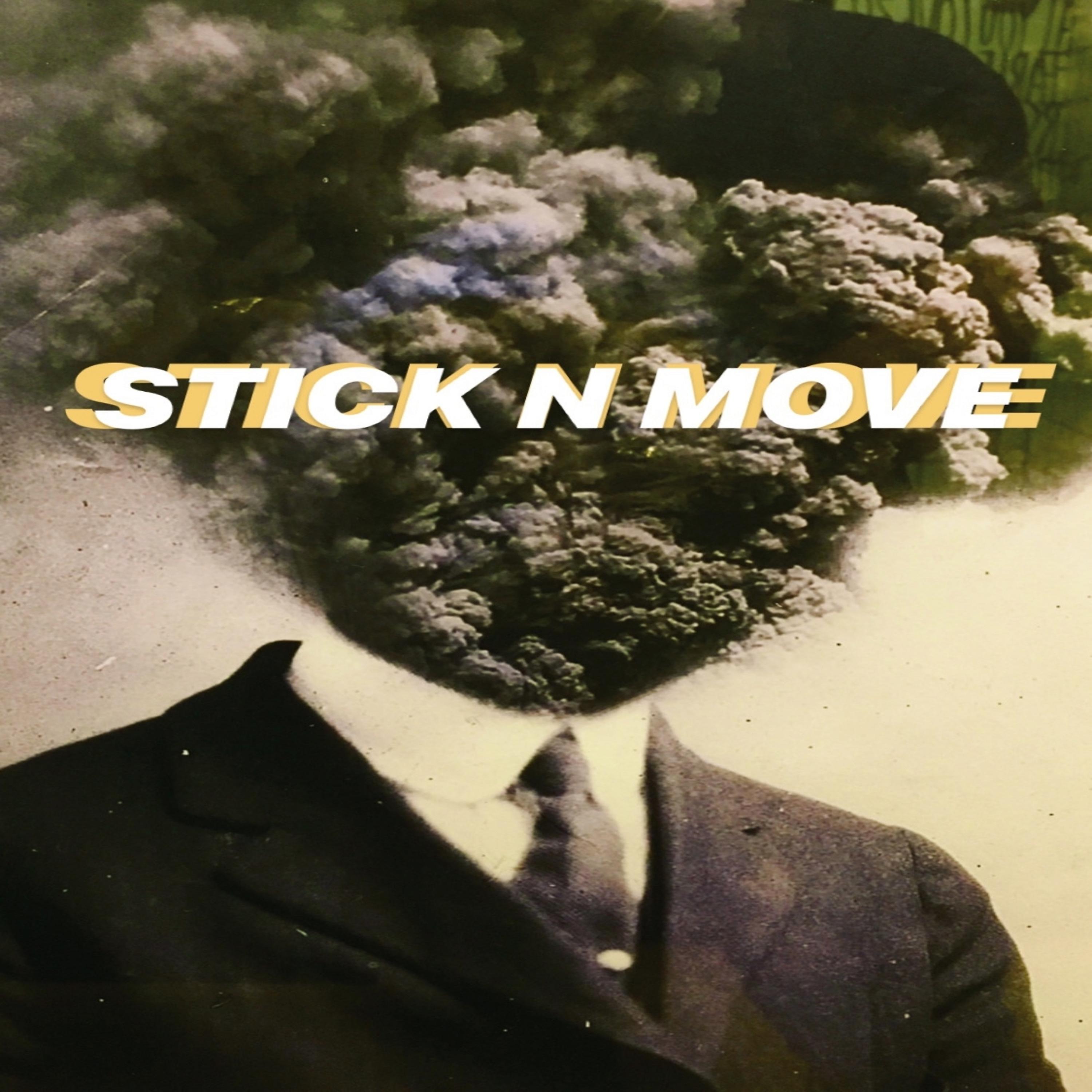Постер альбома Stick N Move