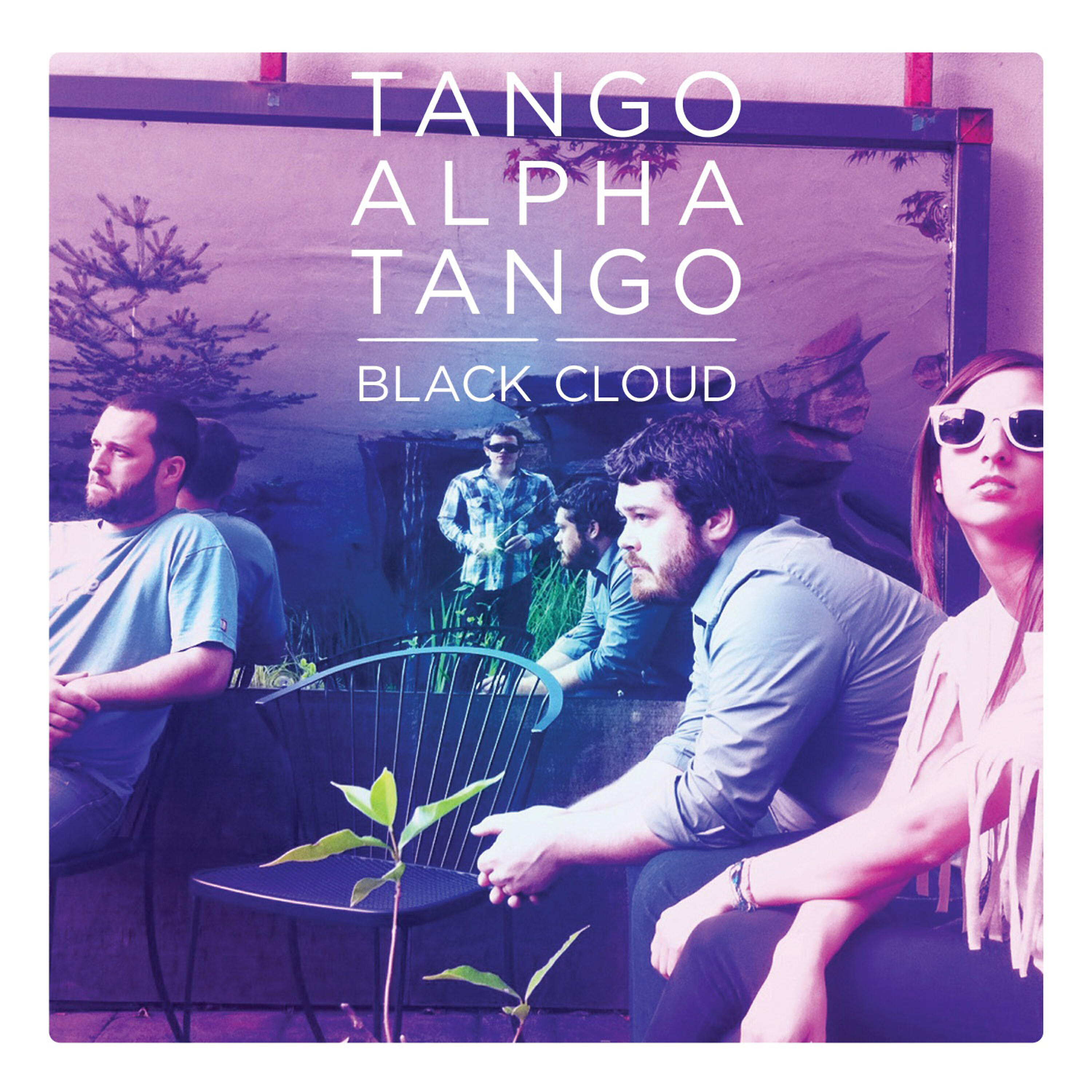 Tango Alpha Tango - Brahma Bull