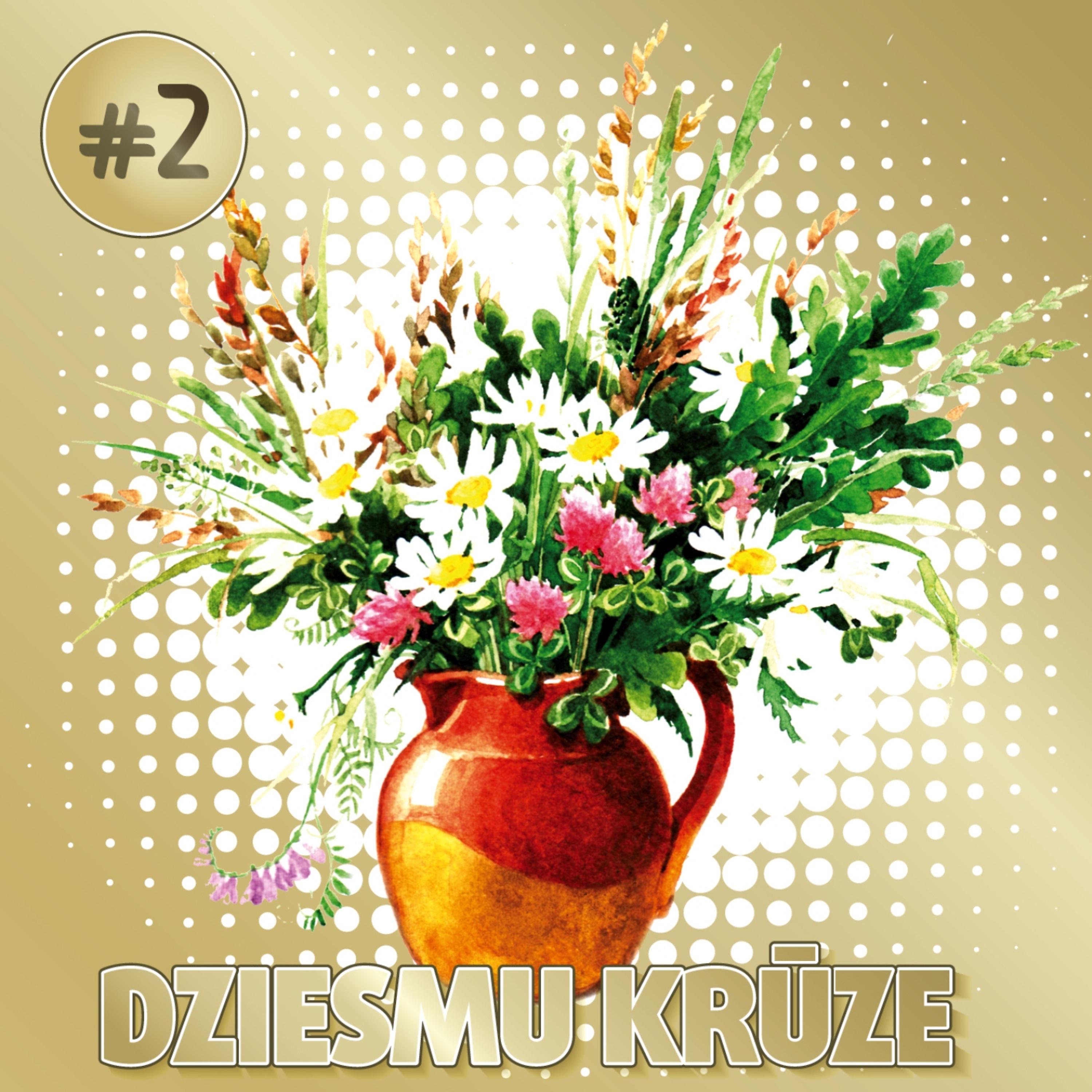 Постер альбома Dziesmu Krūze #2
