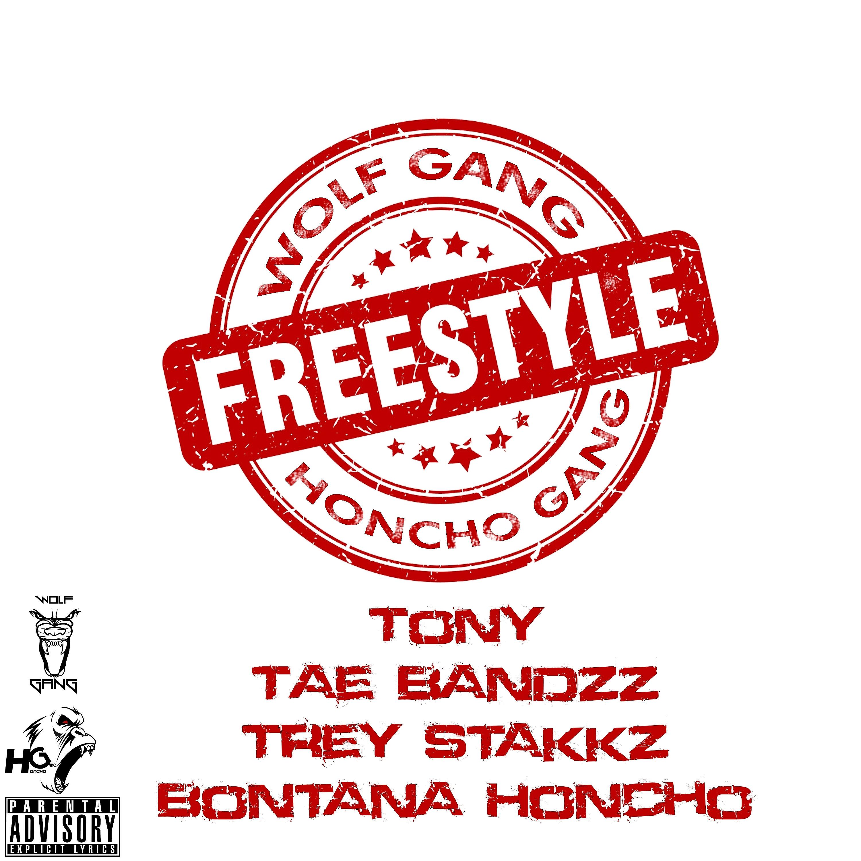 Trey Stakkz - Wolf Gang Freestyle