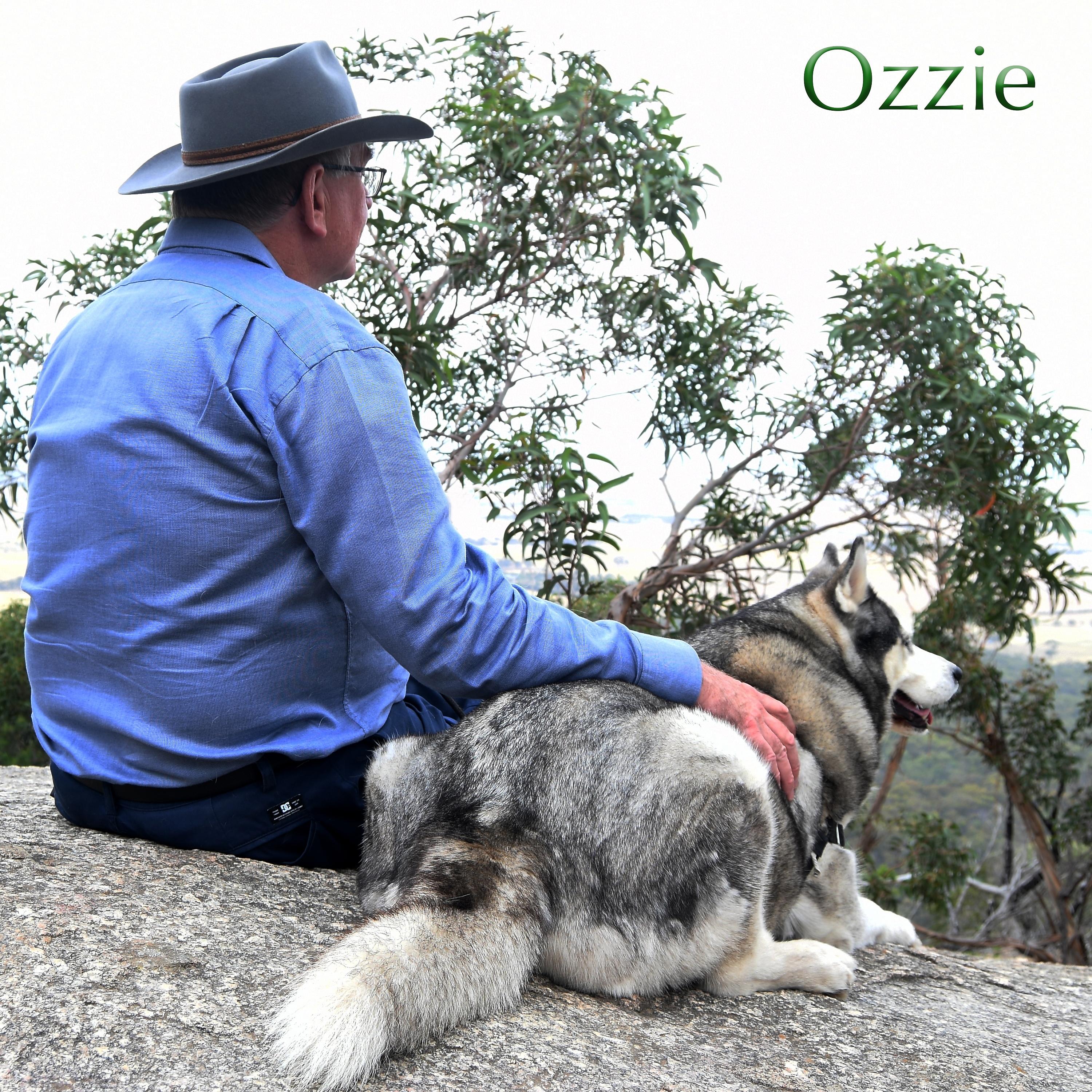 Постер альбома Ozzie