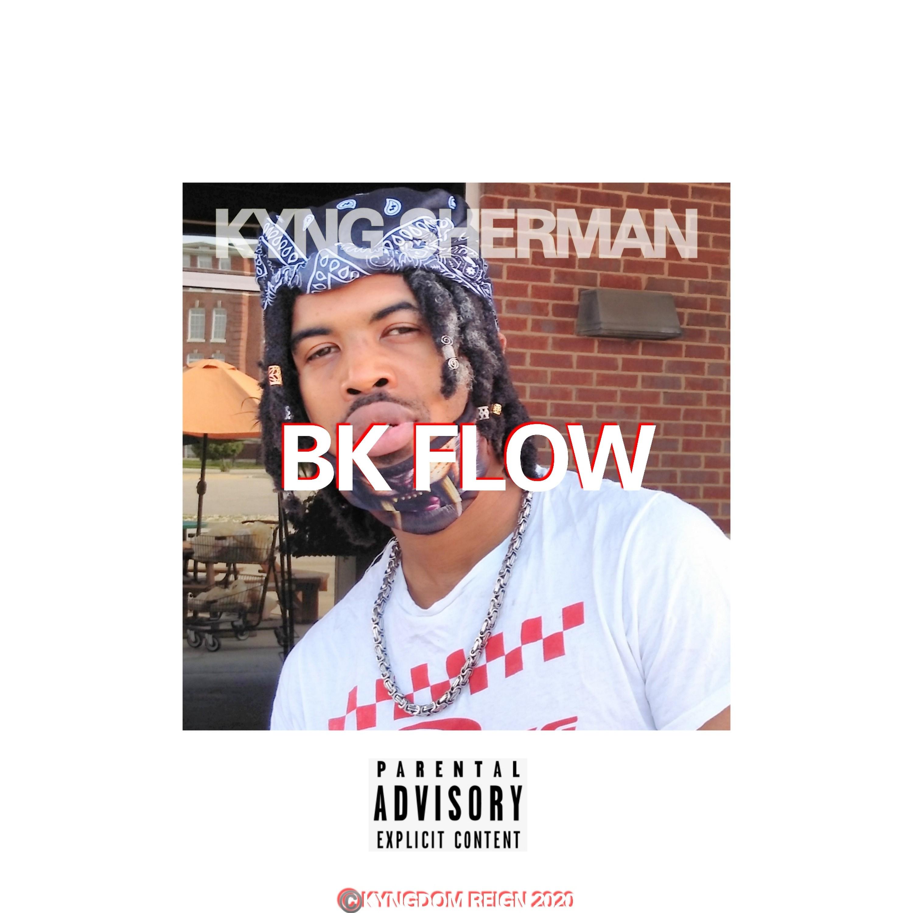 Постер альбома Bk Flow