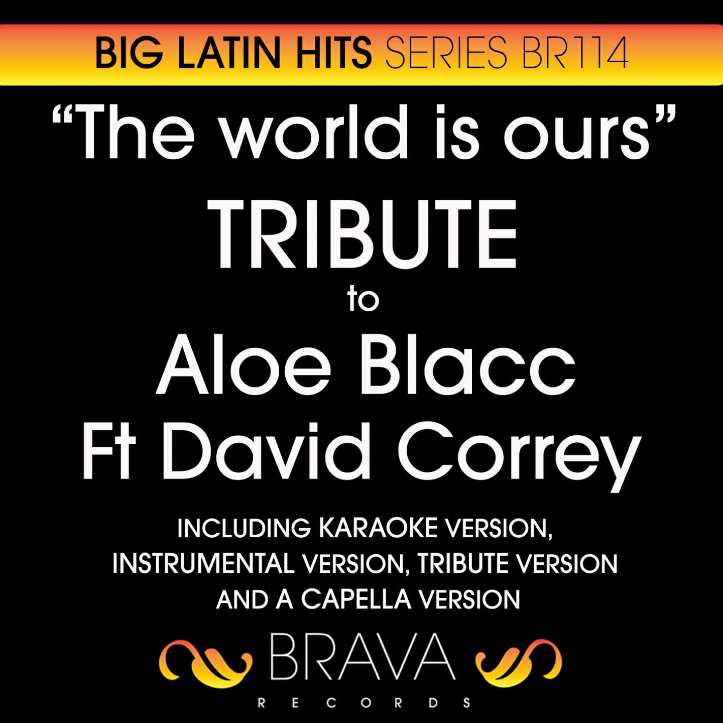 Brava HitMakers - The World Is Our in the Style of Aloe Blacc & David Correy (Tribute Version)