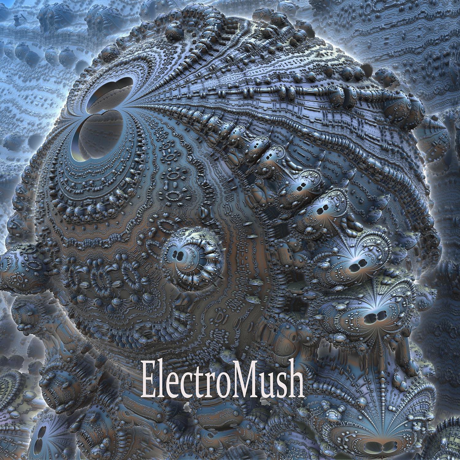 Постер альбома Electromush