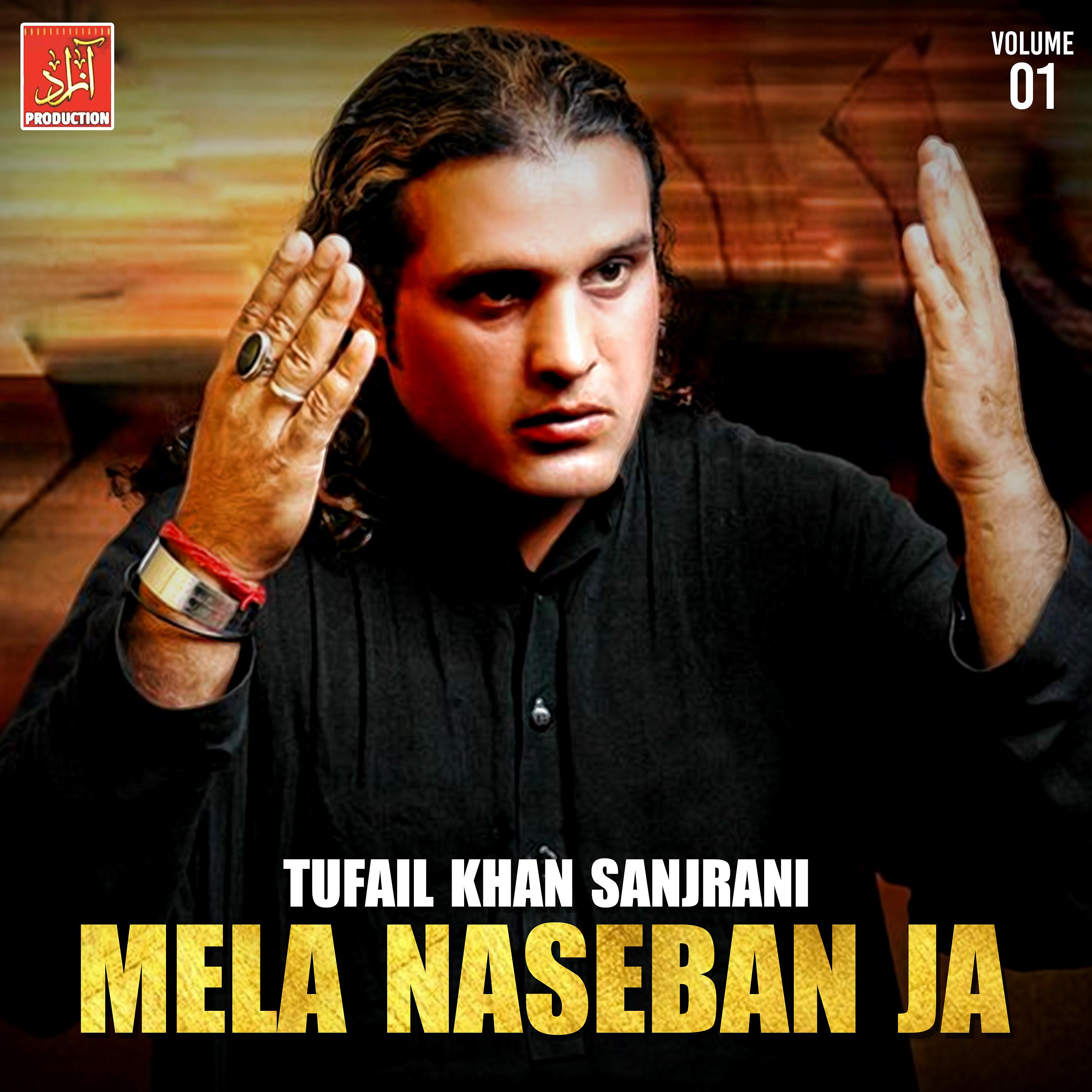 Постер альбома Mela Naseban Ja, Vol. 1