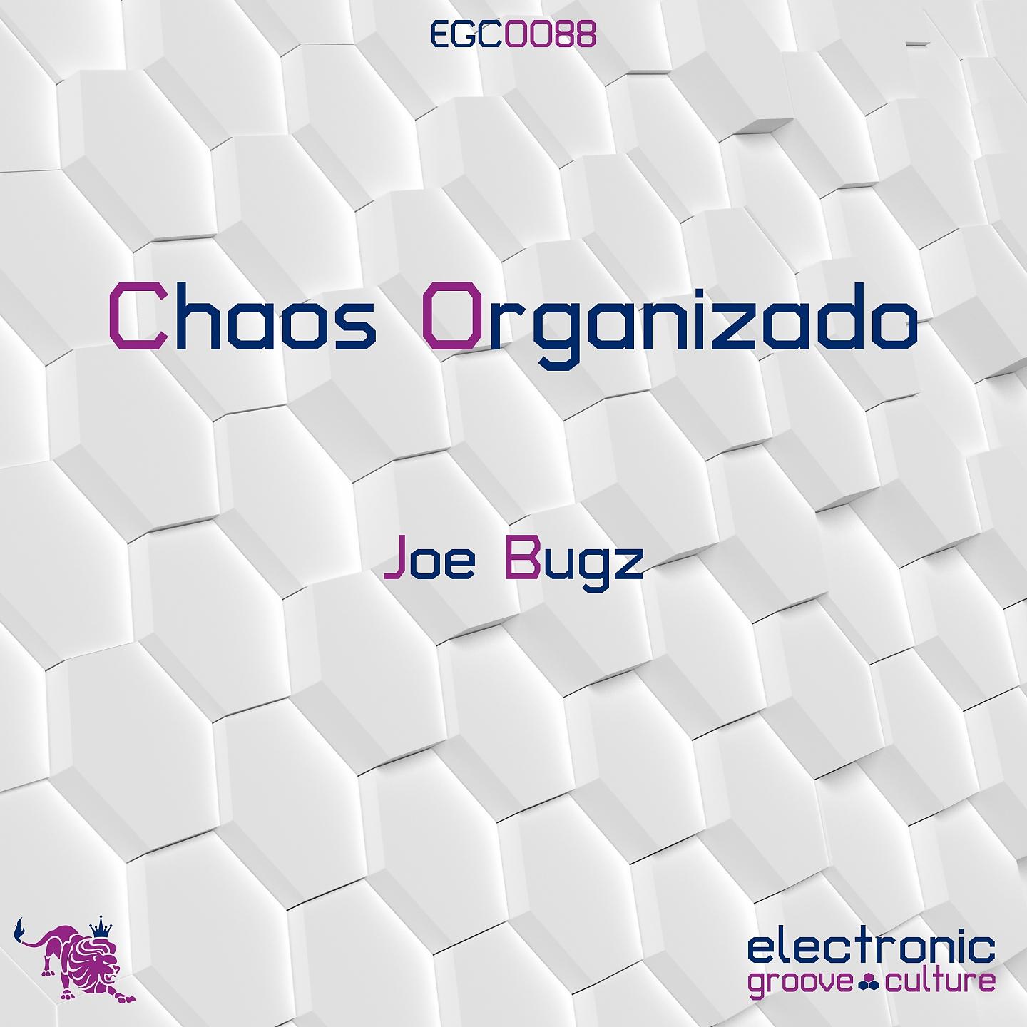 Постер альбома Chaos Organizado