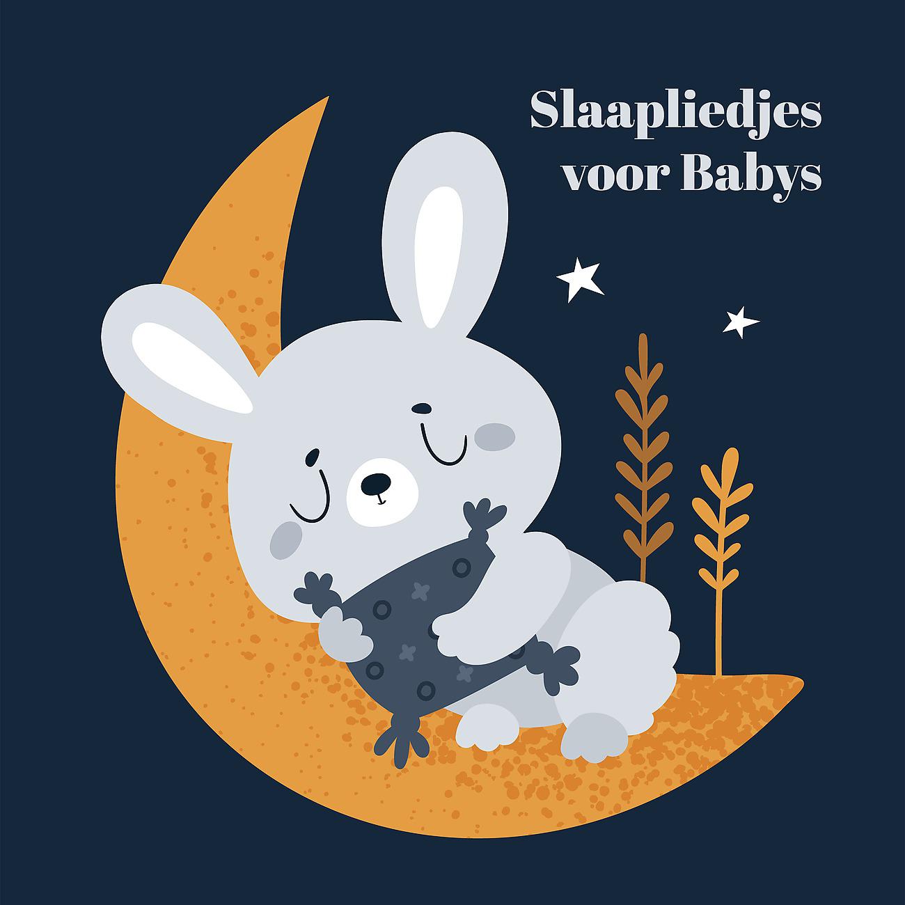 Постер альбома Slaapliedjes voor Babys