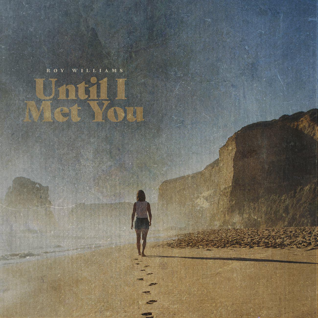 Постер альбома Until I Met You
