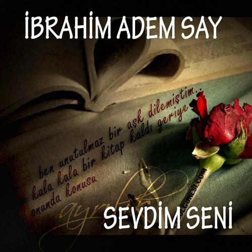 Постер альбома Sevdim Seni