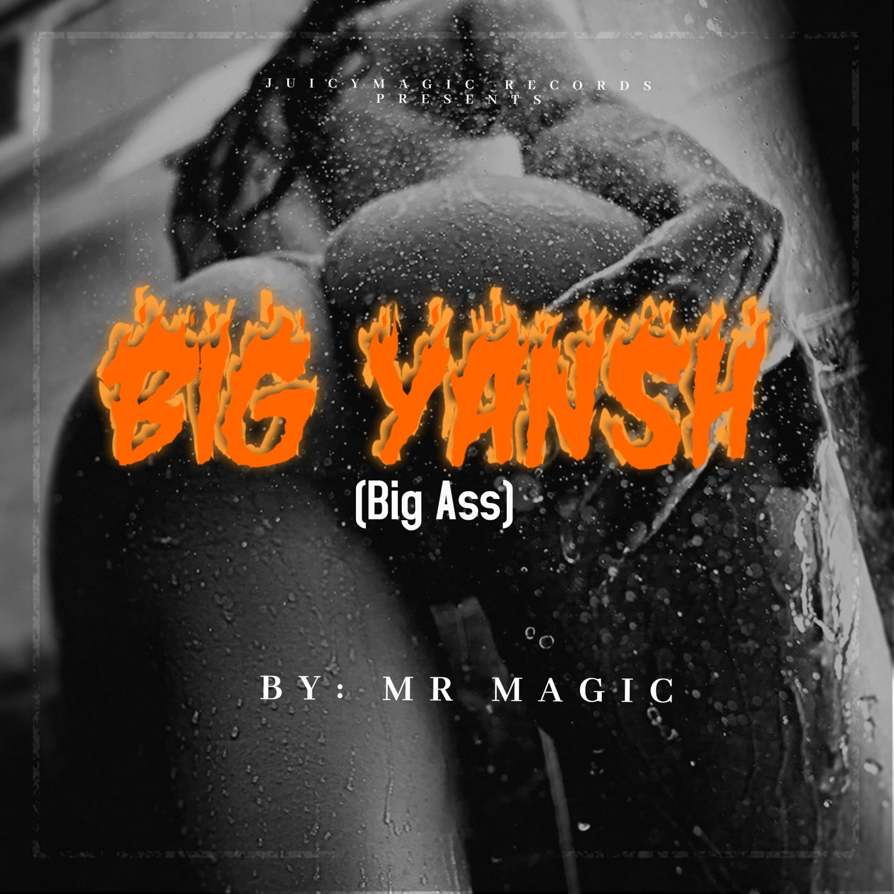Постер альбома Big Yansh (Big Ass)