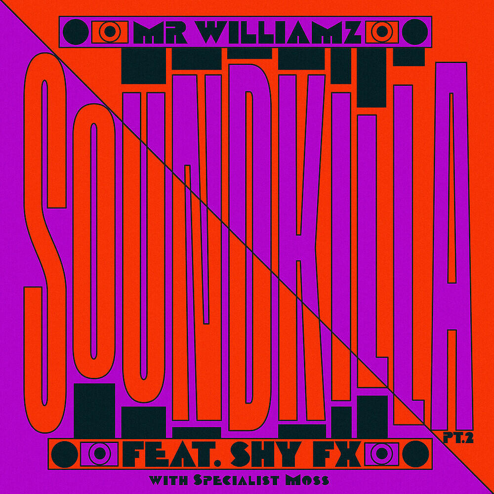 Mr. Williamz - Sound Killa, Pt. 2 (feat. Shy FX)