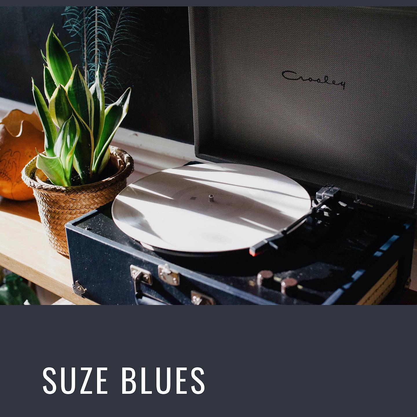 Постер альбома Suze Blues