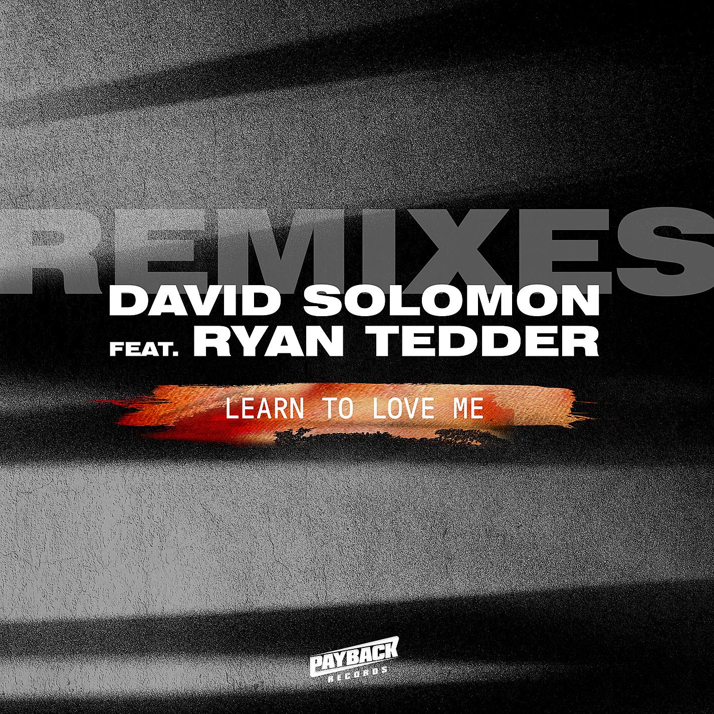 Постер альбома Learn To Love Me (feat. Ryan Tedder) [Remixes]